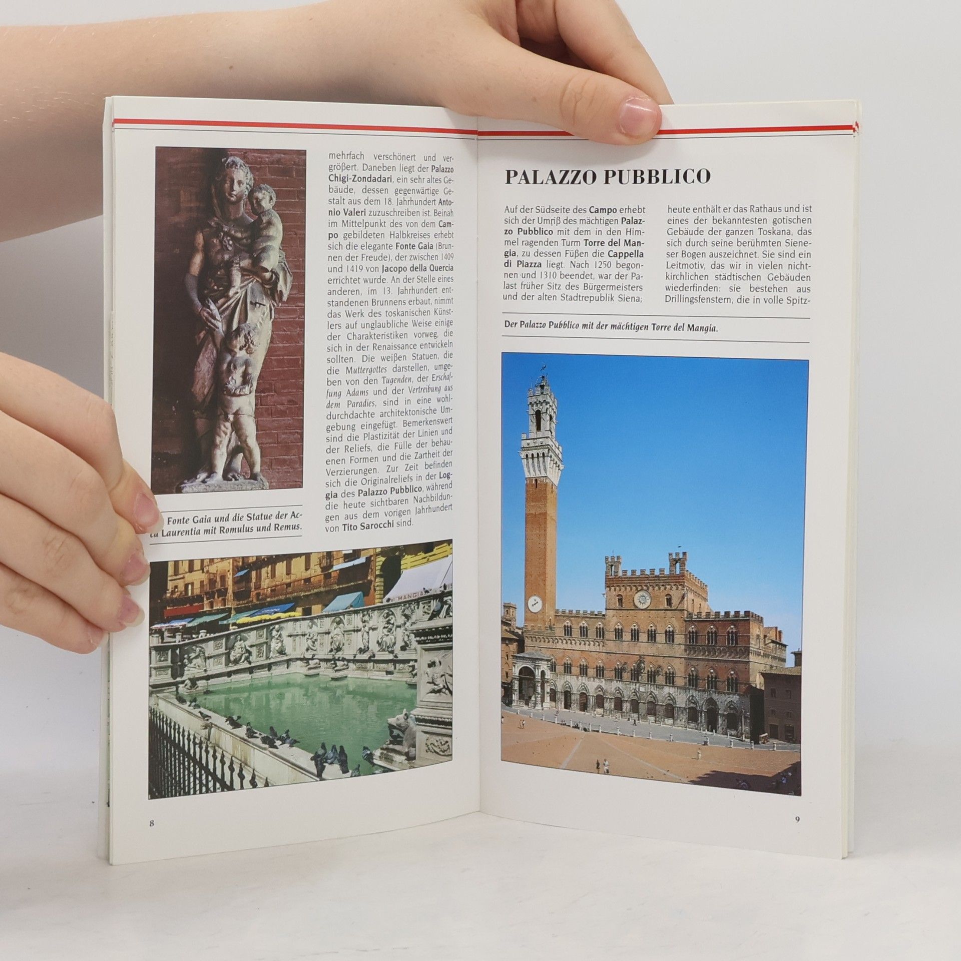 Autores varios Siena. Reiseführer mit Stadtplan