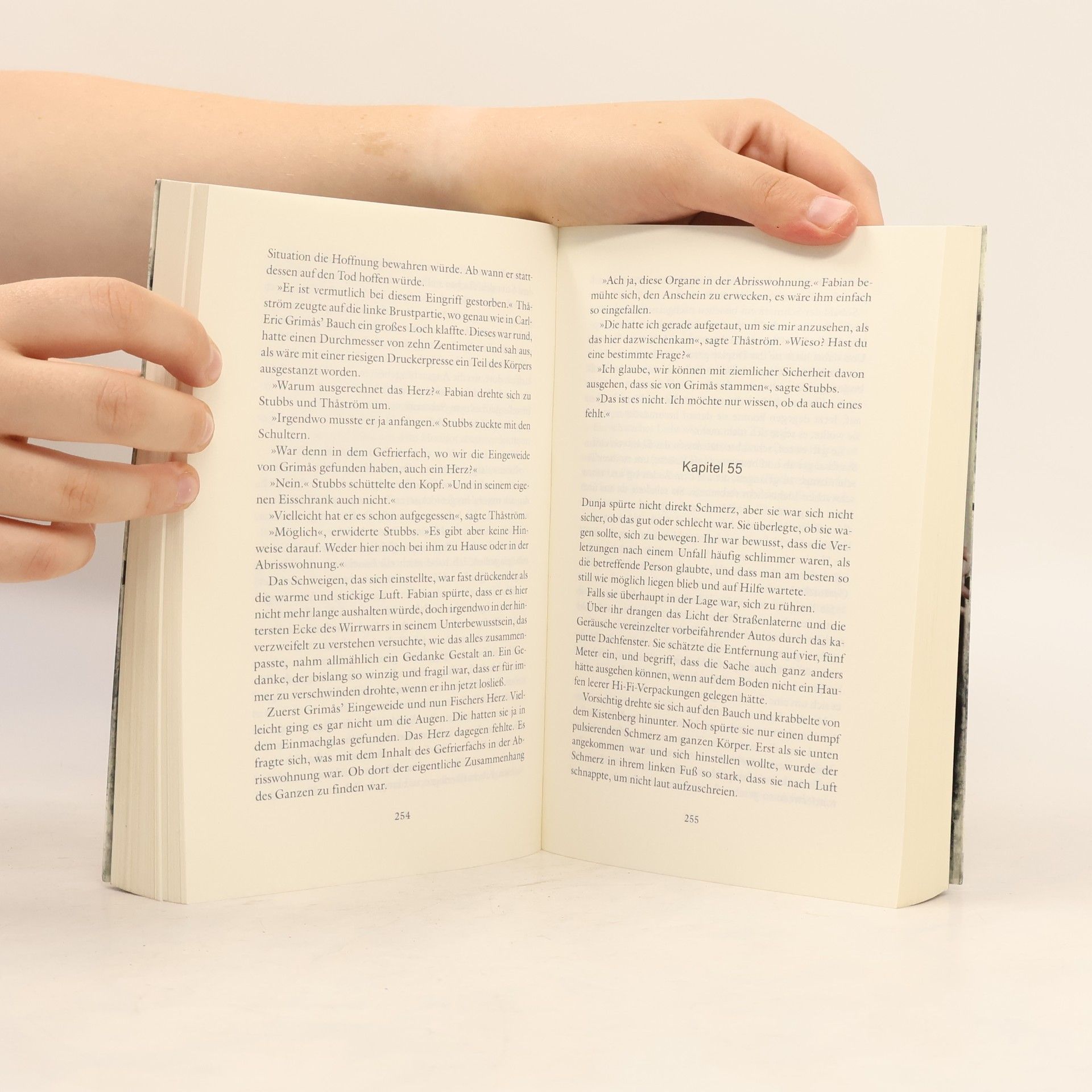 Stefan Ahnhem Herzsammler