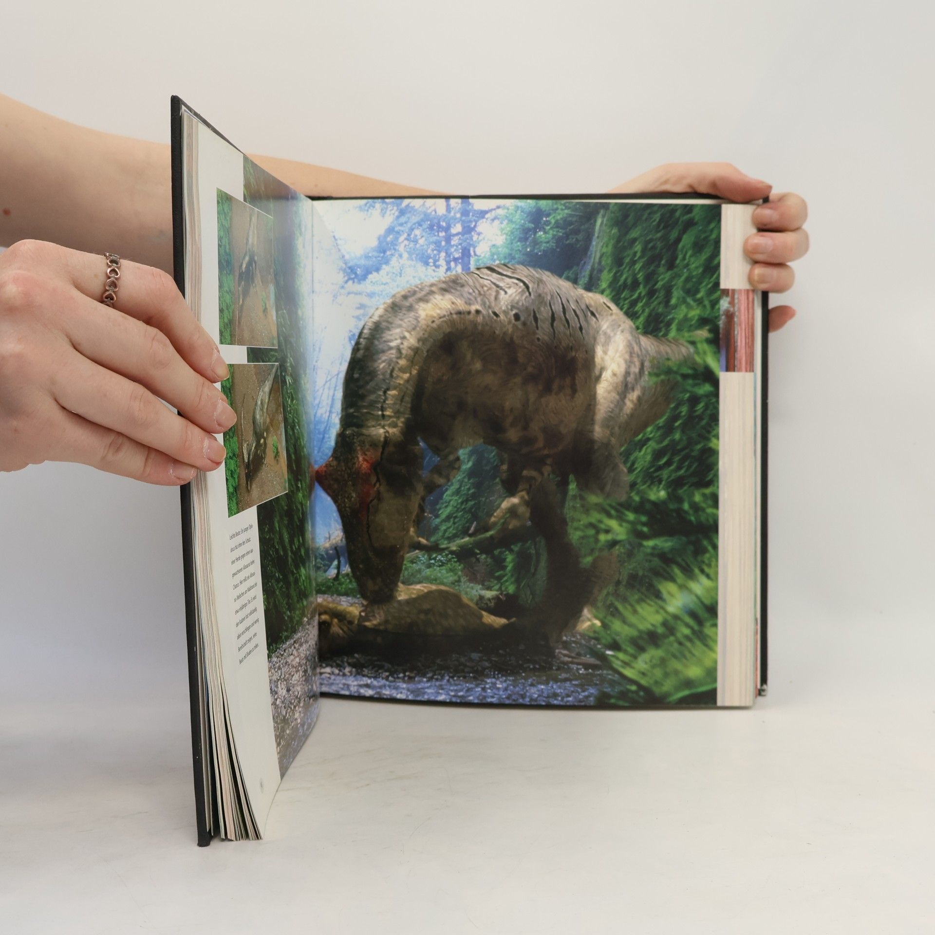 Tim Haines Dinosaurier - im Reich der Giganten