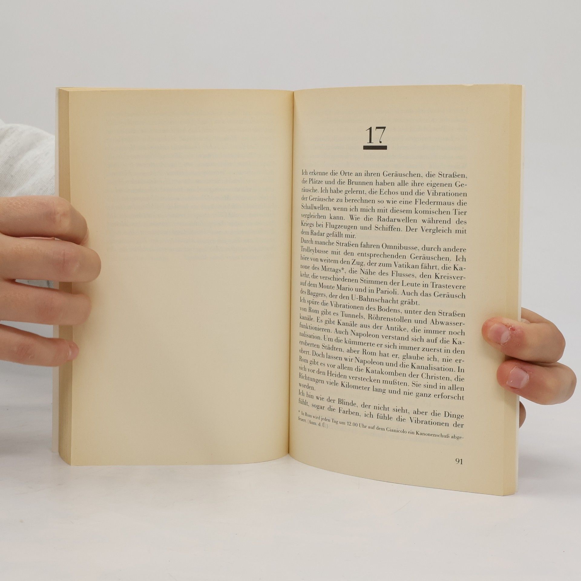 Luigi Malerba Der Protagonist
