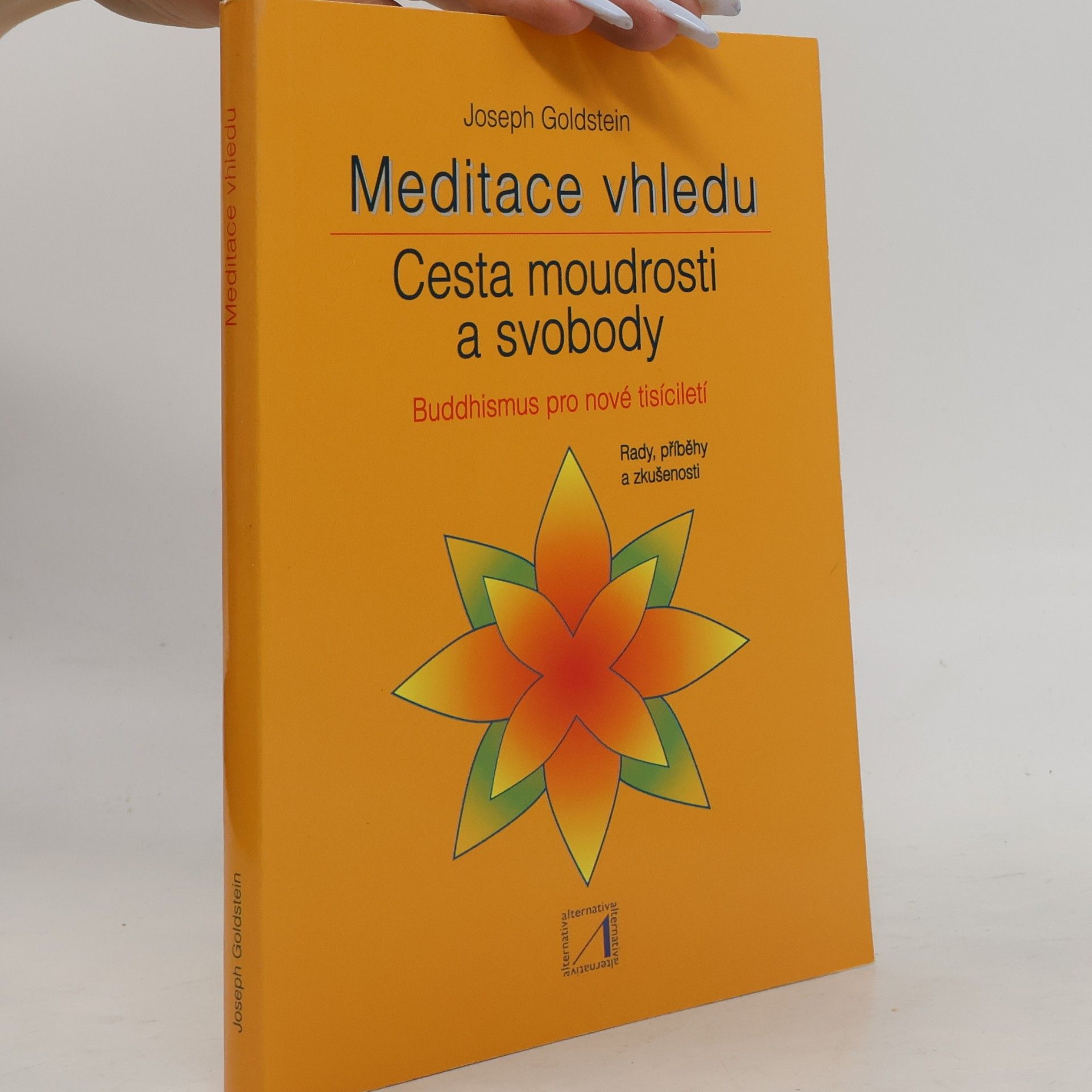 Petr Neugebauer Meditace vhledu: Cesta moudrosti a svobody: Buddhismus pro nové tisíciletí