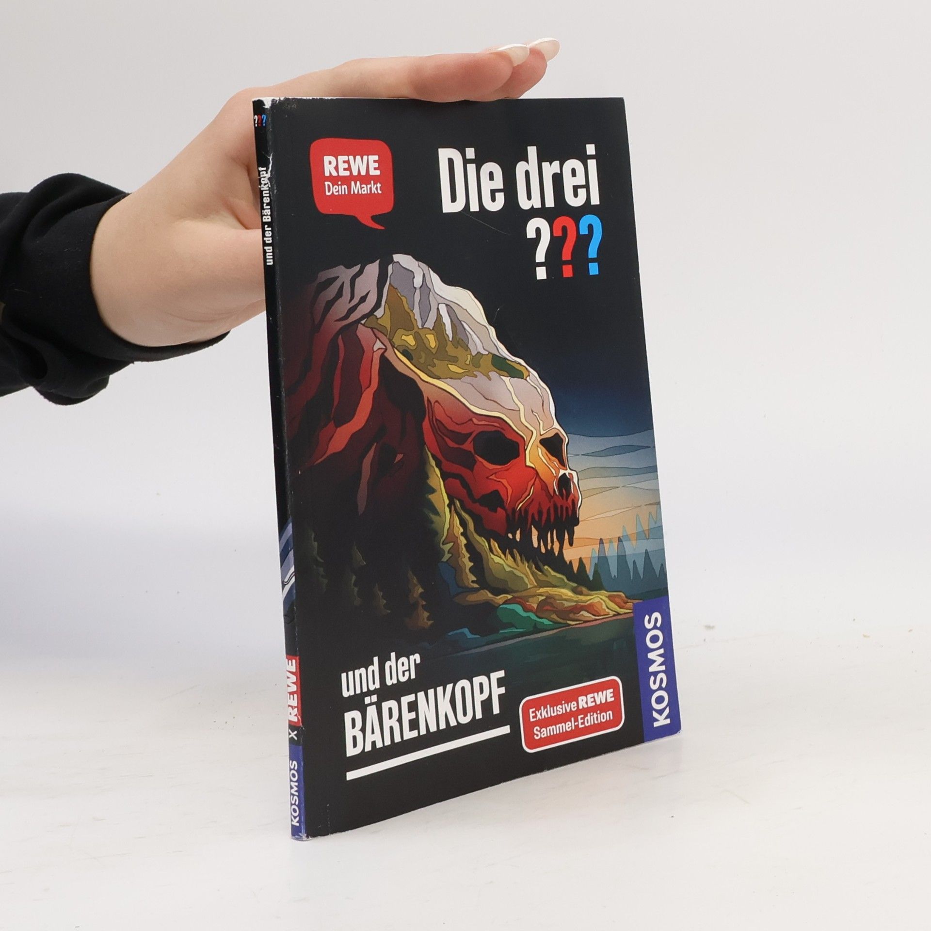 Andreas Ruch Die drei ??? und der Bärenkopf