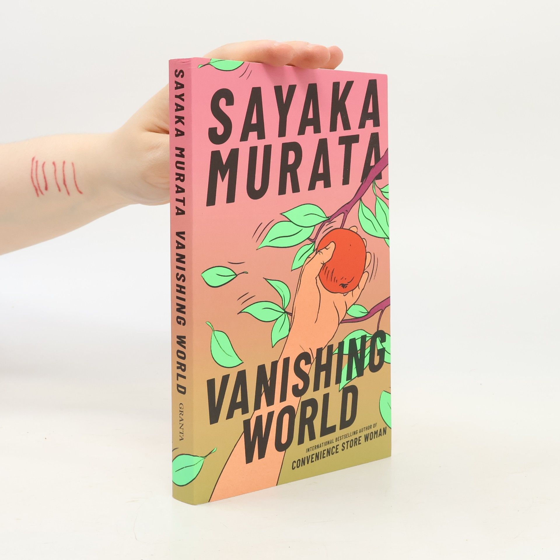 Sayaka Murata Vanishing World