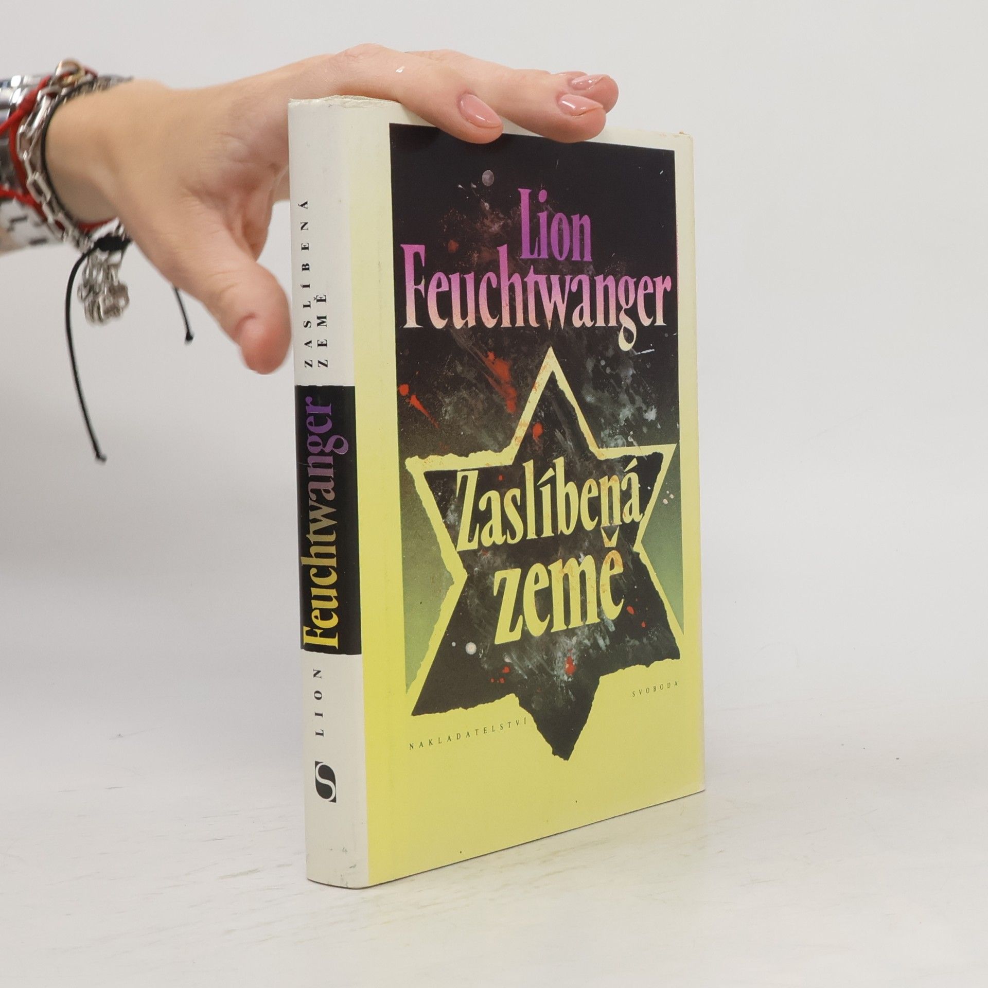 Lion Feuchtwanger Zaslíbená země