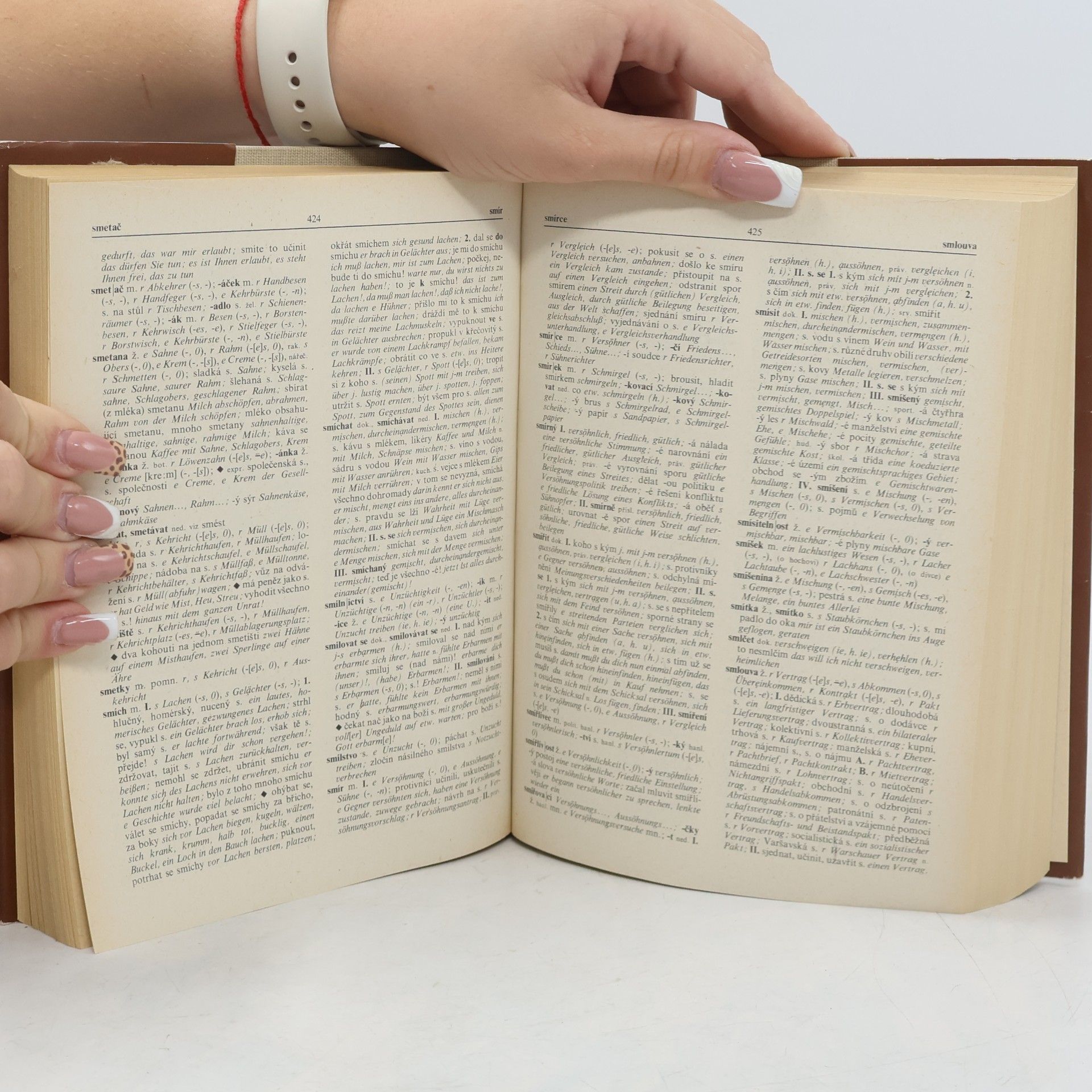 Autorenkollektiv Česko německý slovník II. P-Ž