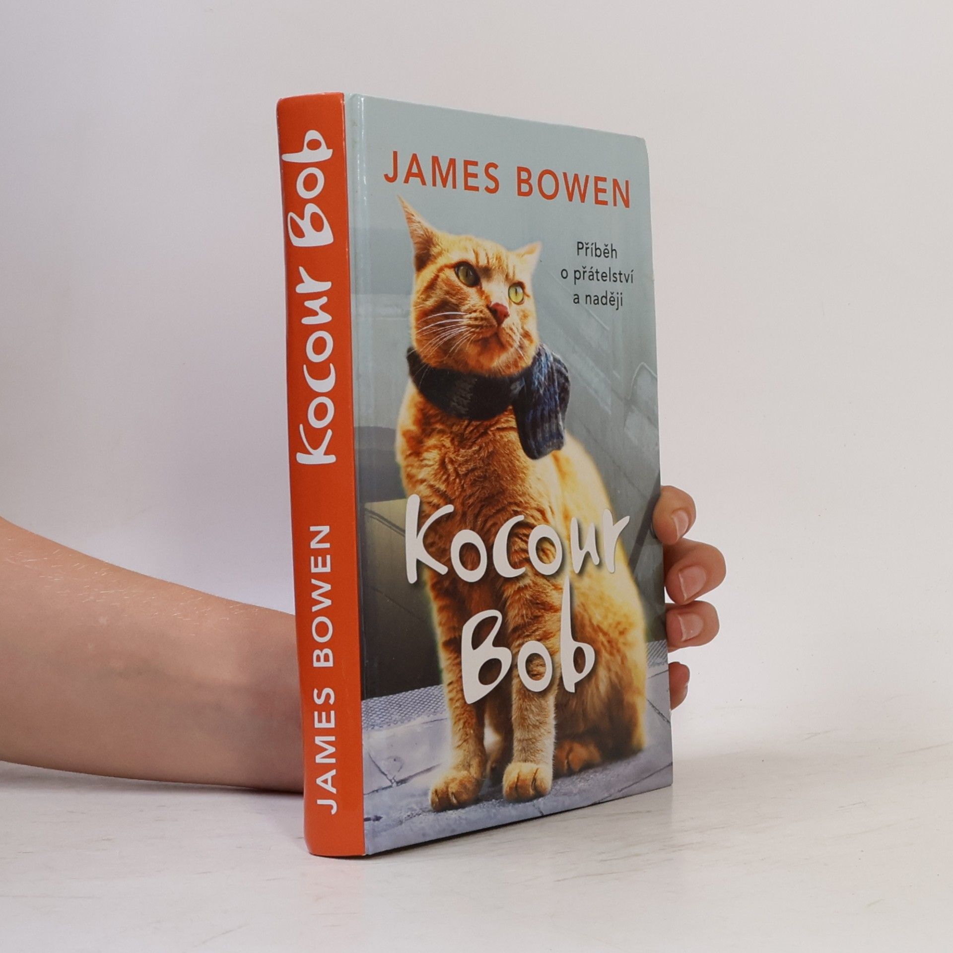 James Bowen Kocour Bob