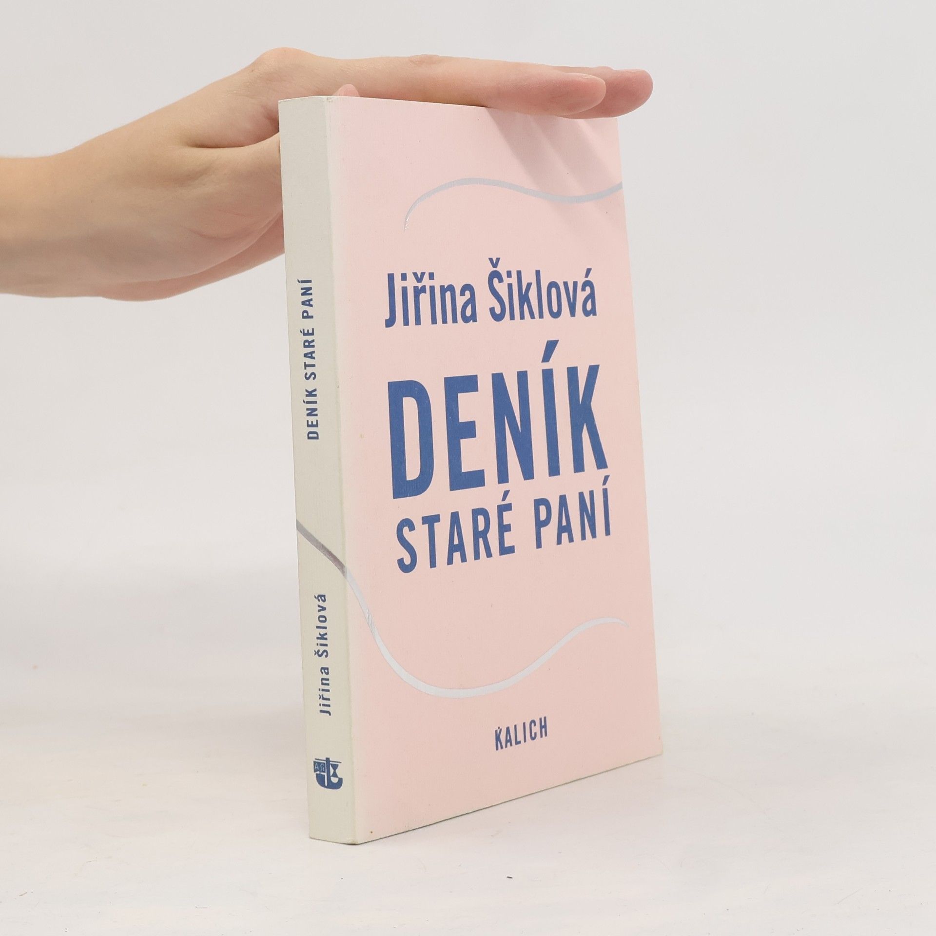 Jiřina Šiklová Deník staré paní