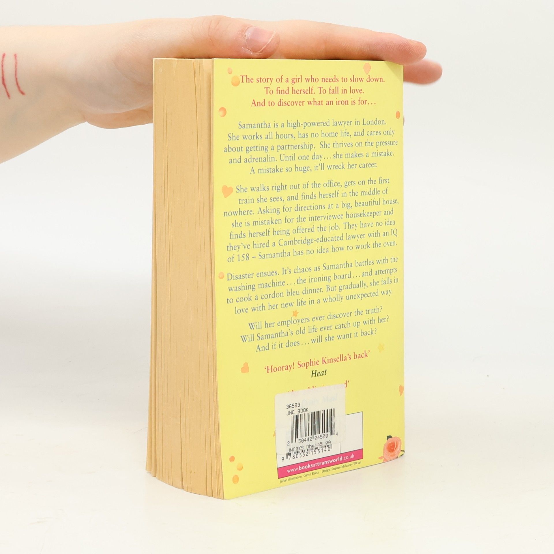 Sophie Kinsella The Undomestic Goddess