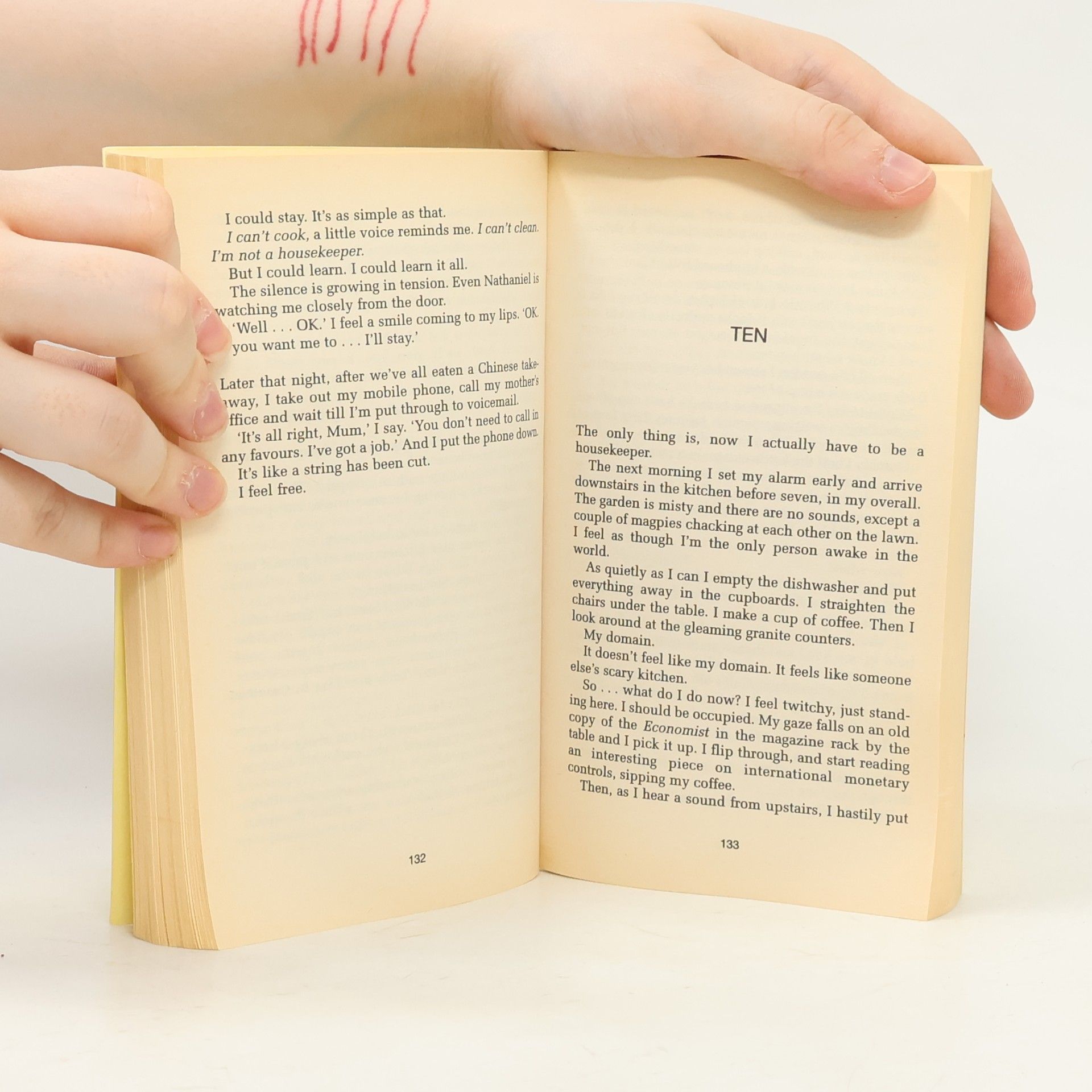 Sophie Kinsella The Undomestic Goddess
