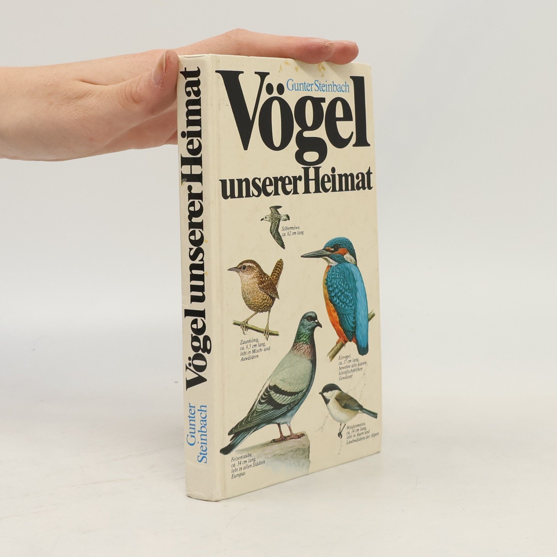 Gunter Steinbach Vögel unserer Heimat