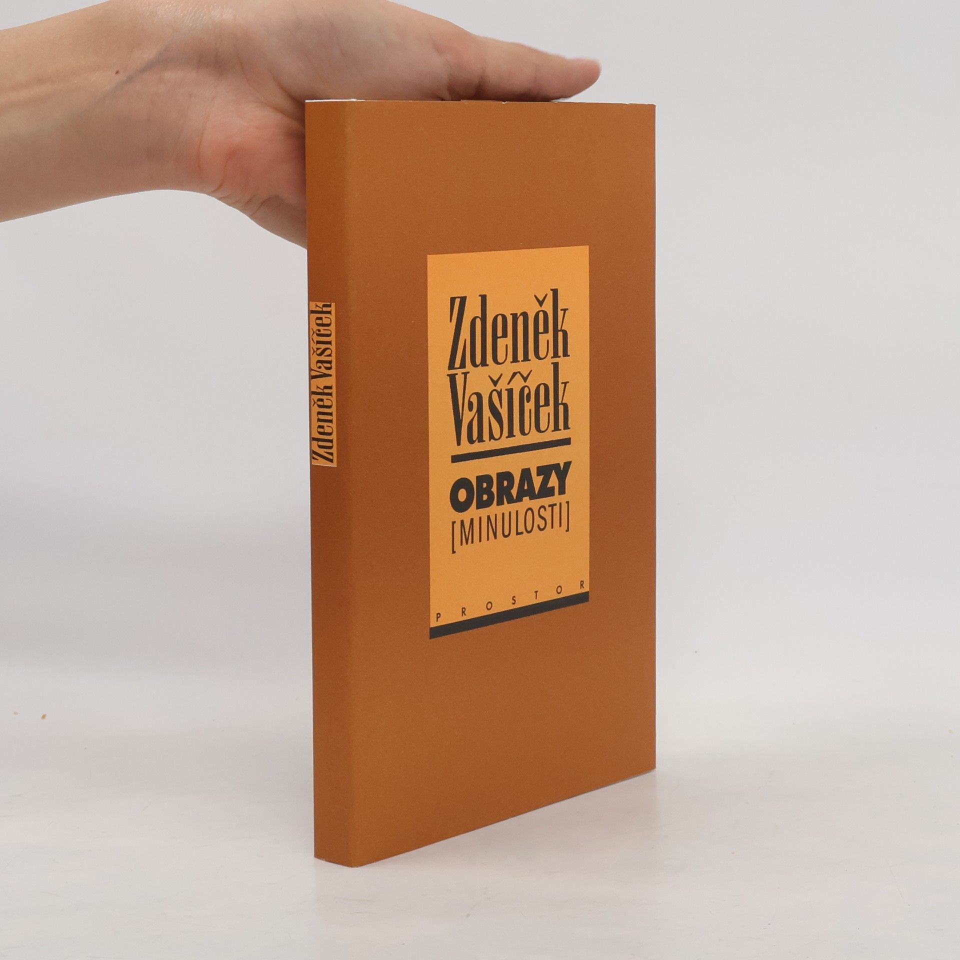 Miroslav Petříček Obrazy (minulosti) : o bytí, poznání a podání minulého času