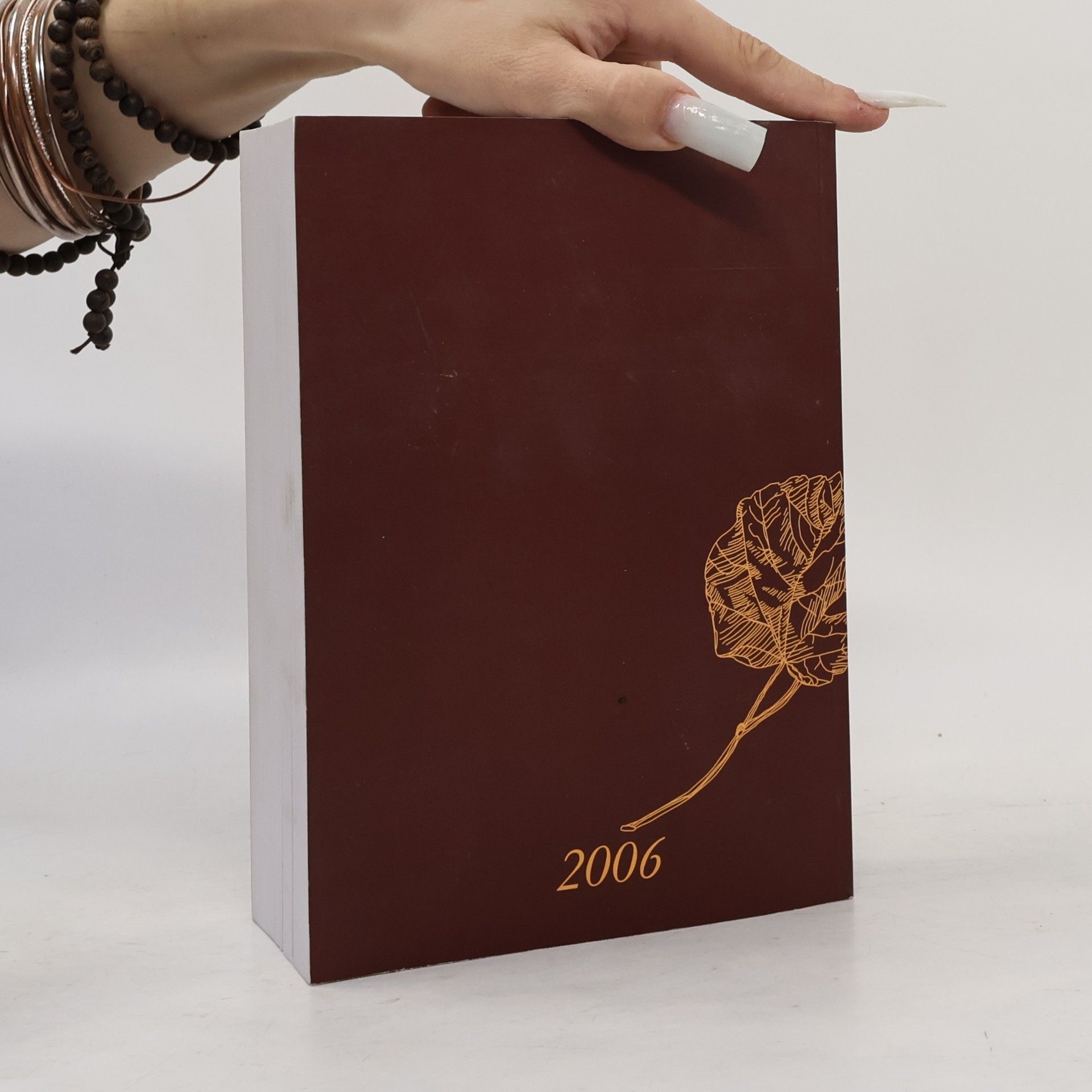 Kolektiv autorů Český almanach osobností a firem 2006