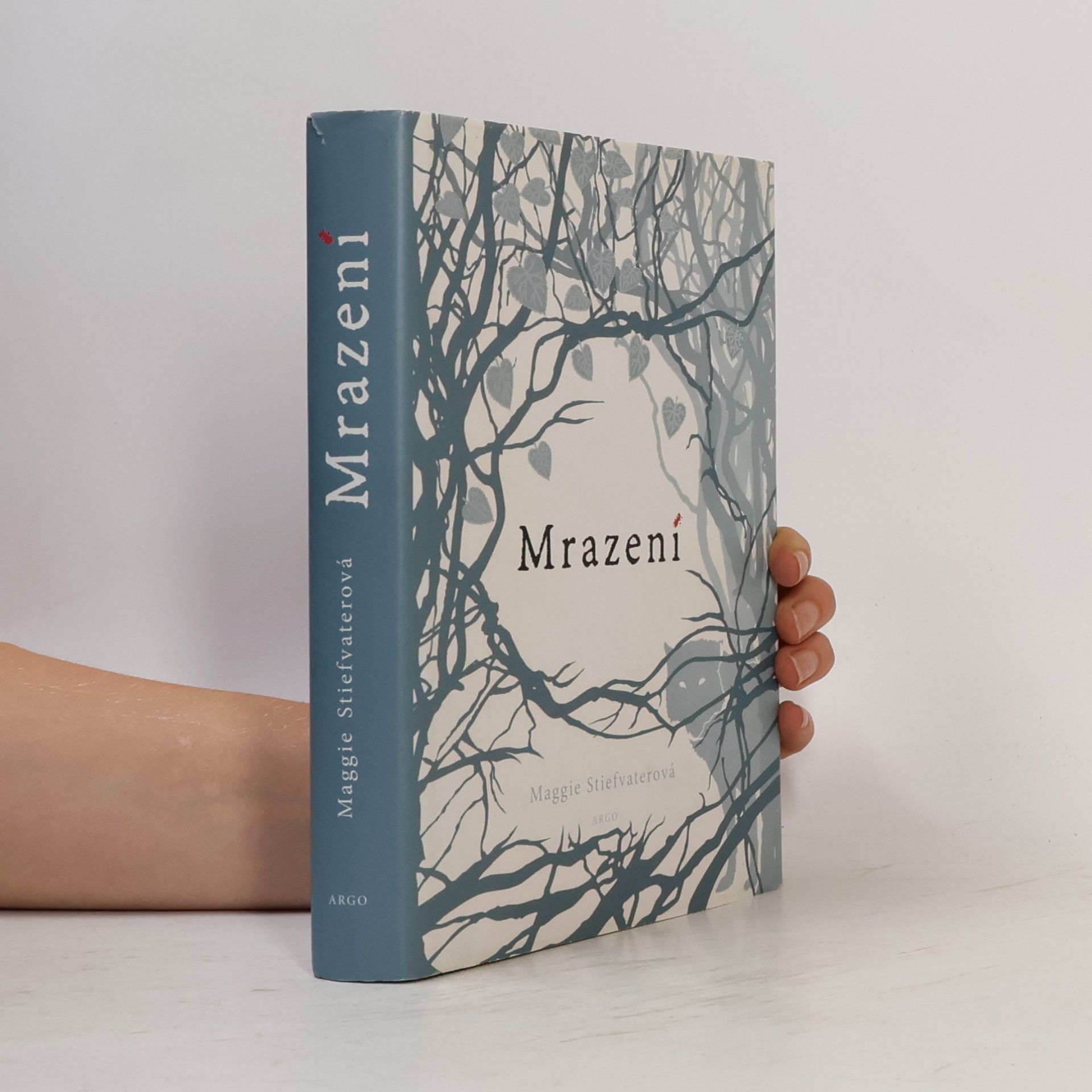 Maggie Stiefvaterová Mrazení