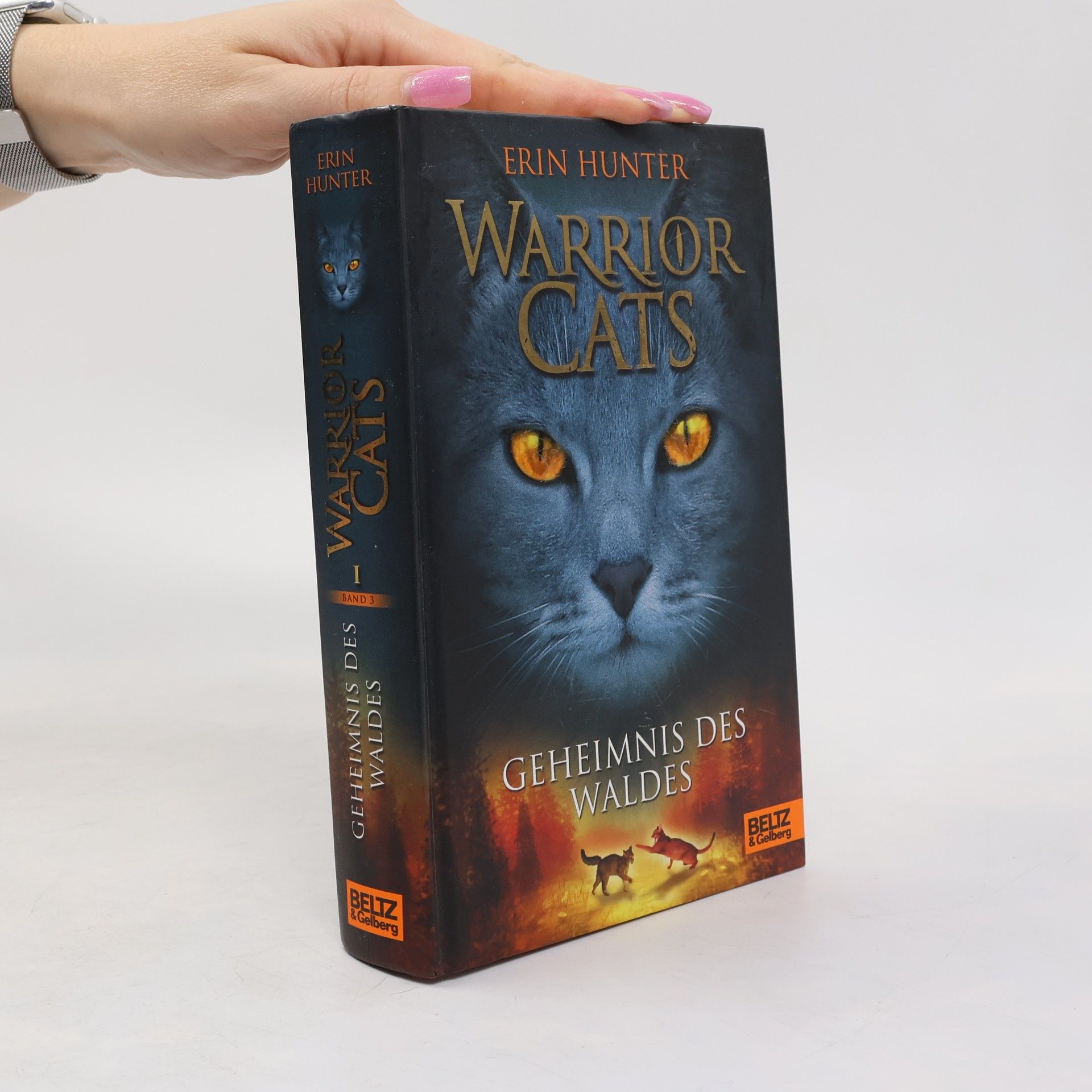 Erin Hunter Warrior Cats. Geheimnis des Waldes.