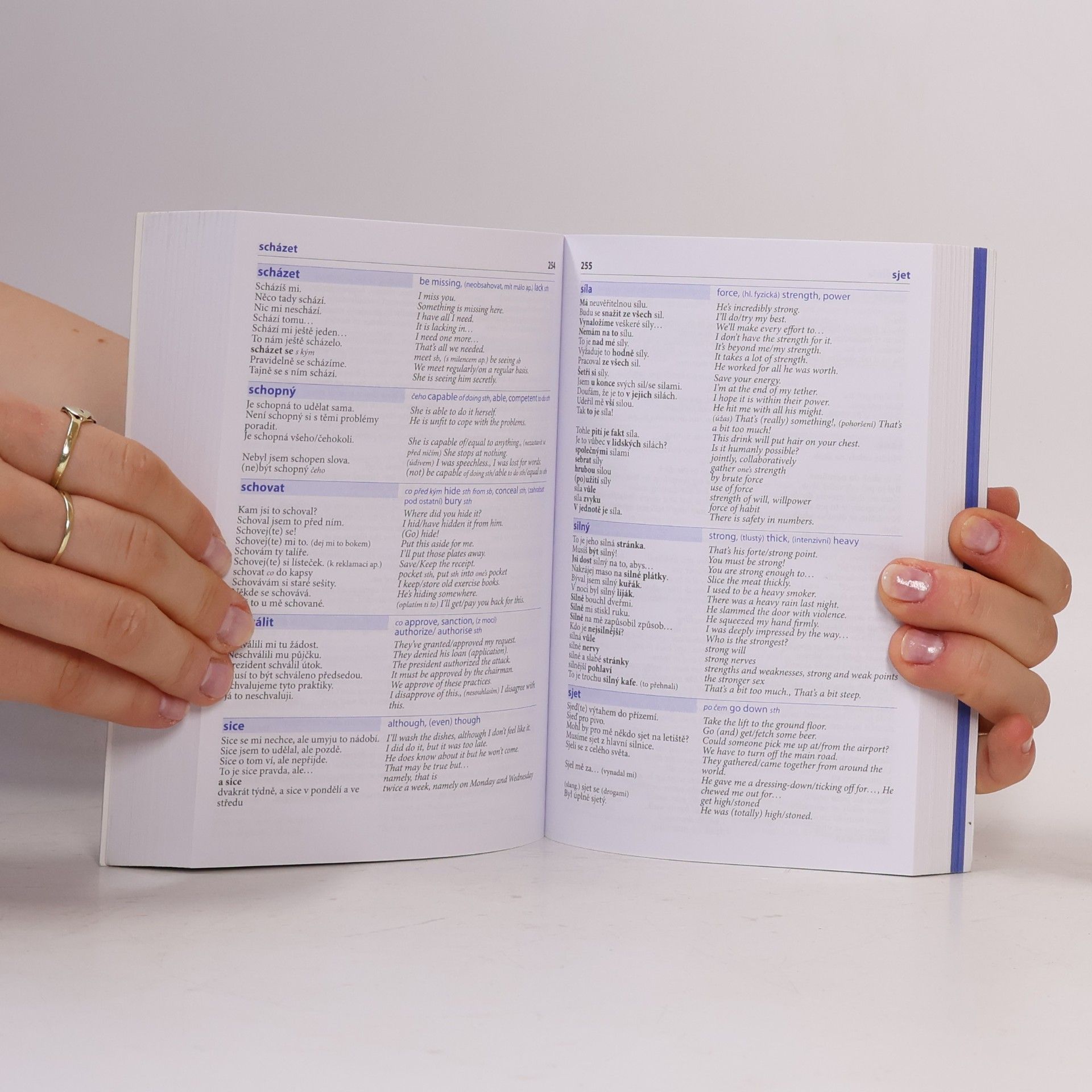 Autorenkollektiv Česko-anglický mluvník
