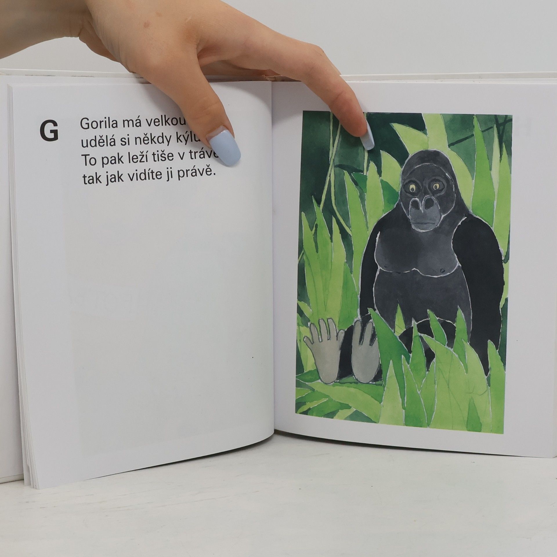 Kolektiv autorů Inkoustová písmenka