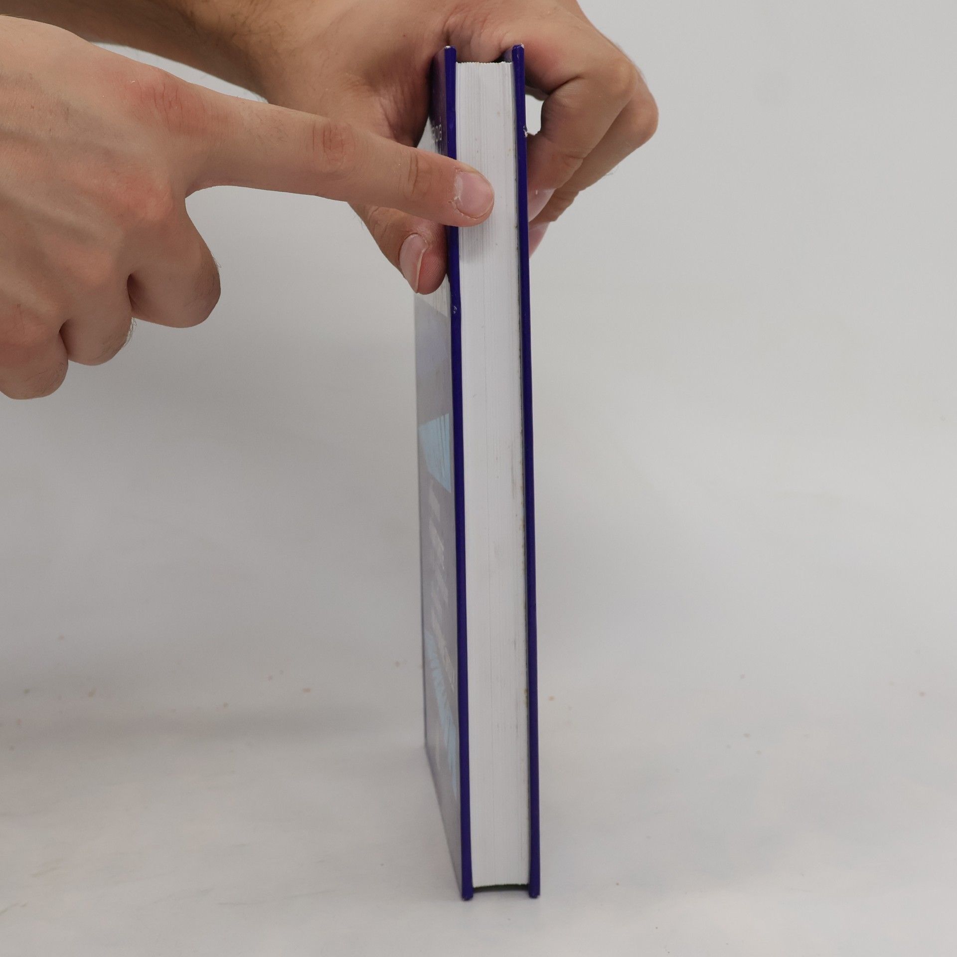 Jindra Petáková Matematika. Příprava k maturitě a k přijímacím zkouškám na vysoké školy