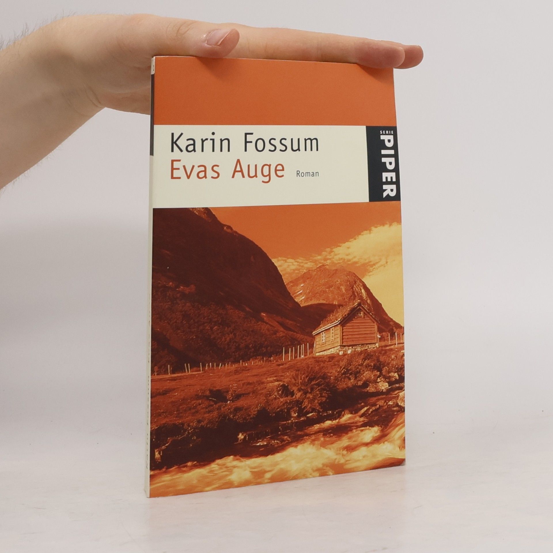 Karin Fossum Evas Auge