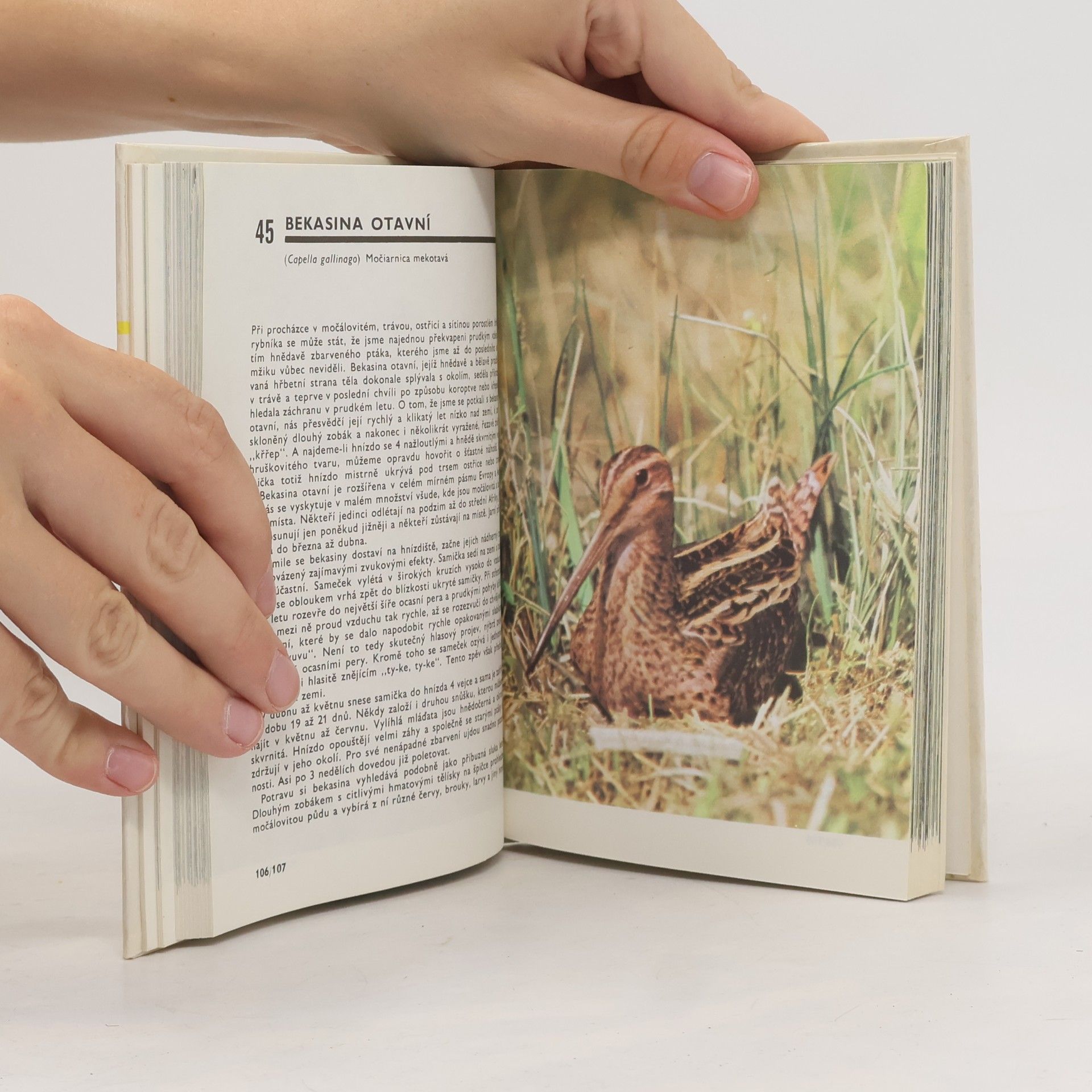 Otakar Procházka Kapesní atlas ptáků
