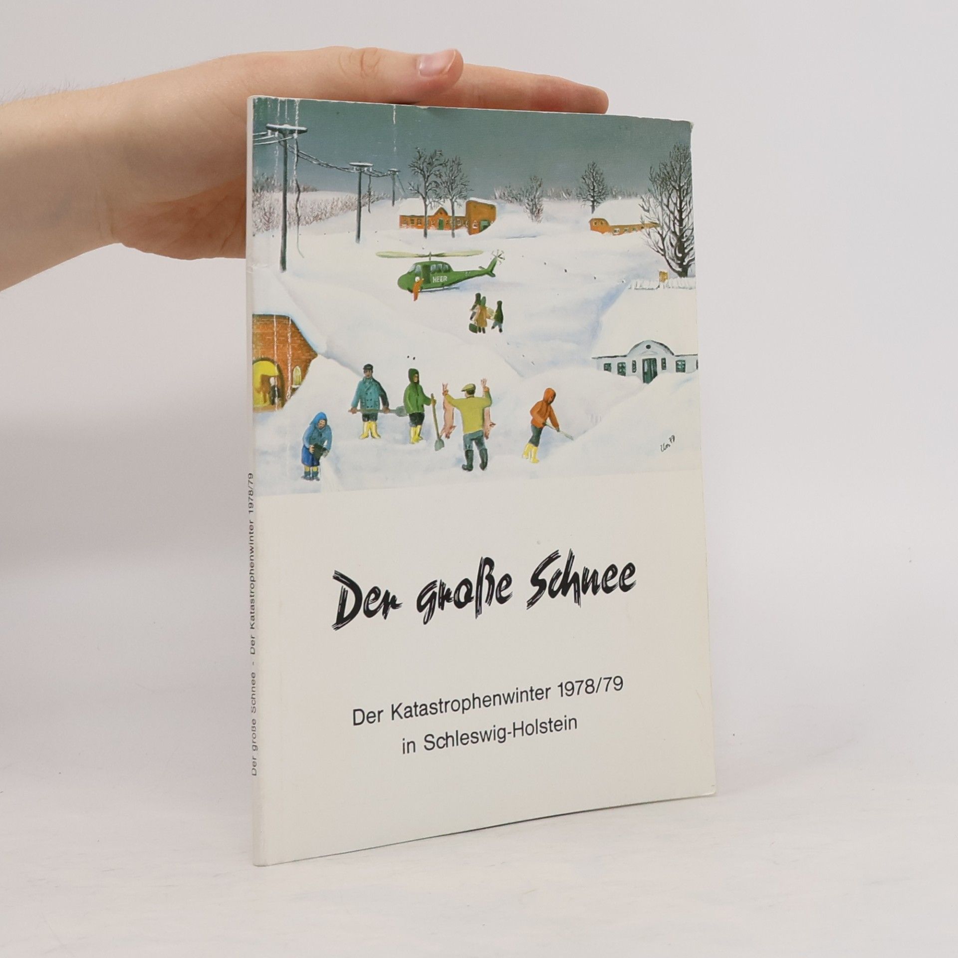 Der grosse Schnee