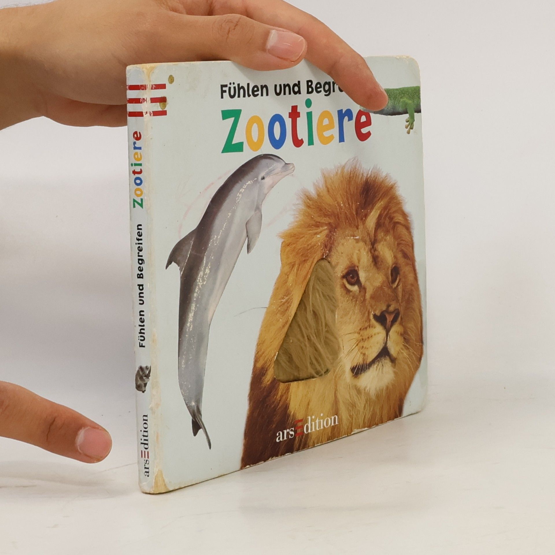 Daniela Filthaut Zootiere