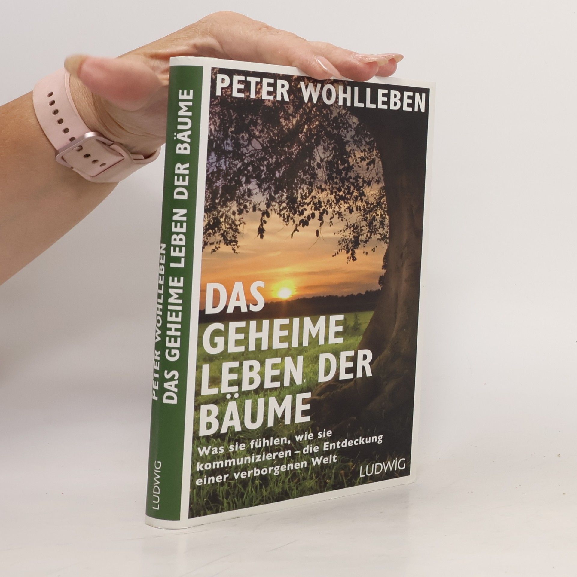 Peter Wohlleben Das geheime Leben der Bäume