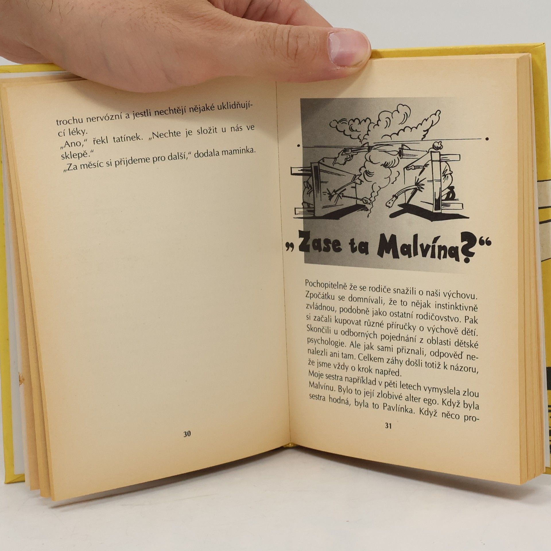 Lenka Hornová Pomóc! Ta rodina je šílená, aneb, Vypráskaná famílie