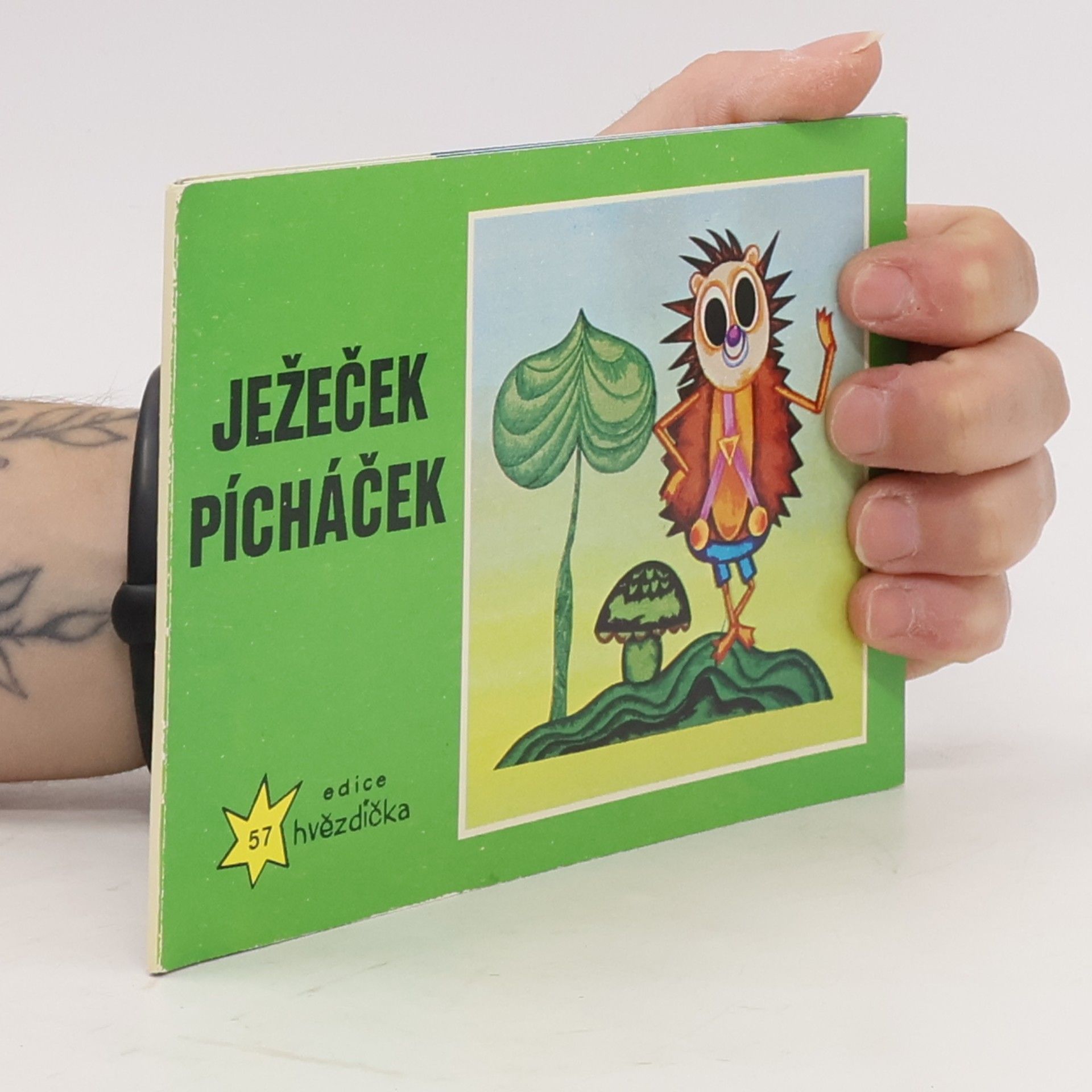 Kolektiv autorů Ježeček Pícháček