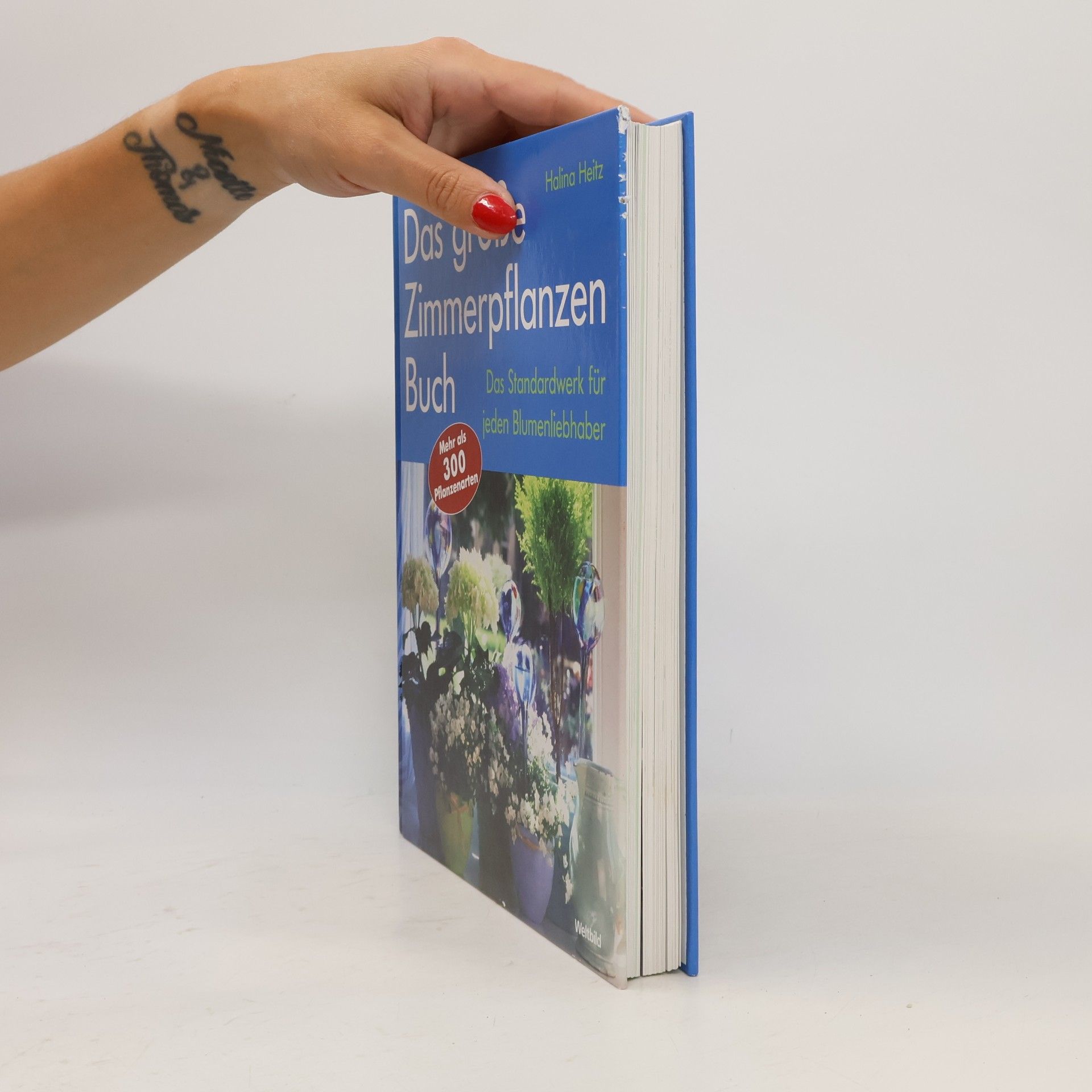 Halina Heitz Das große Zimmerpflanzen-Buch