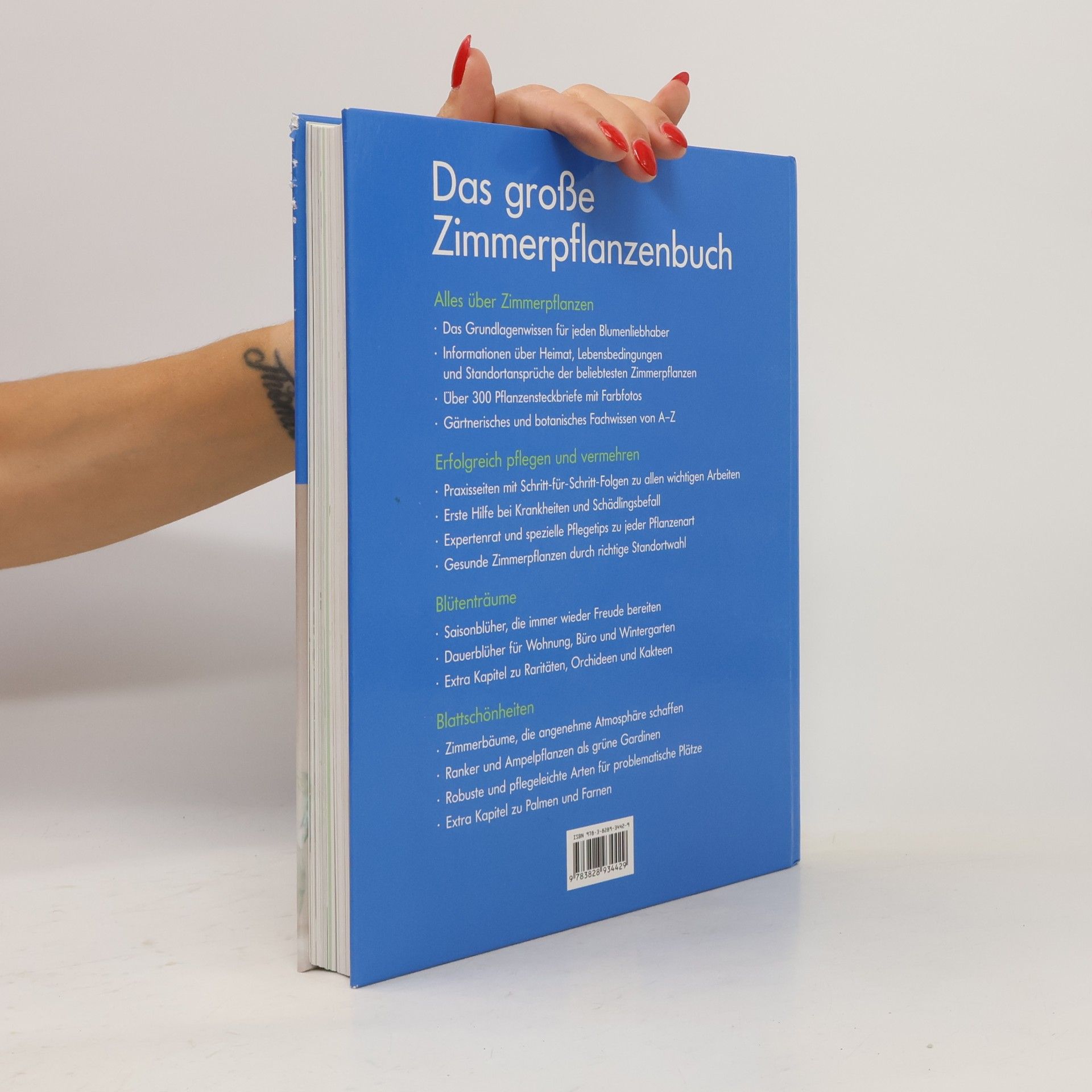 Halina Heitz Das große Zimmerpflanzen-Buch