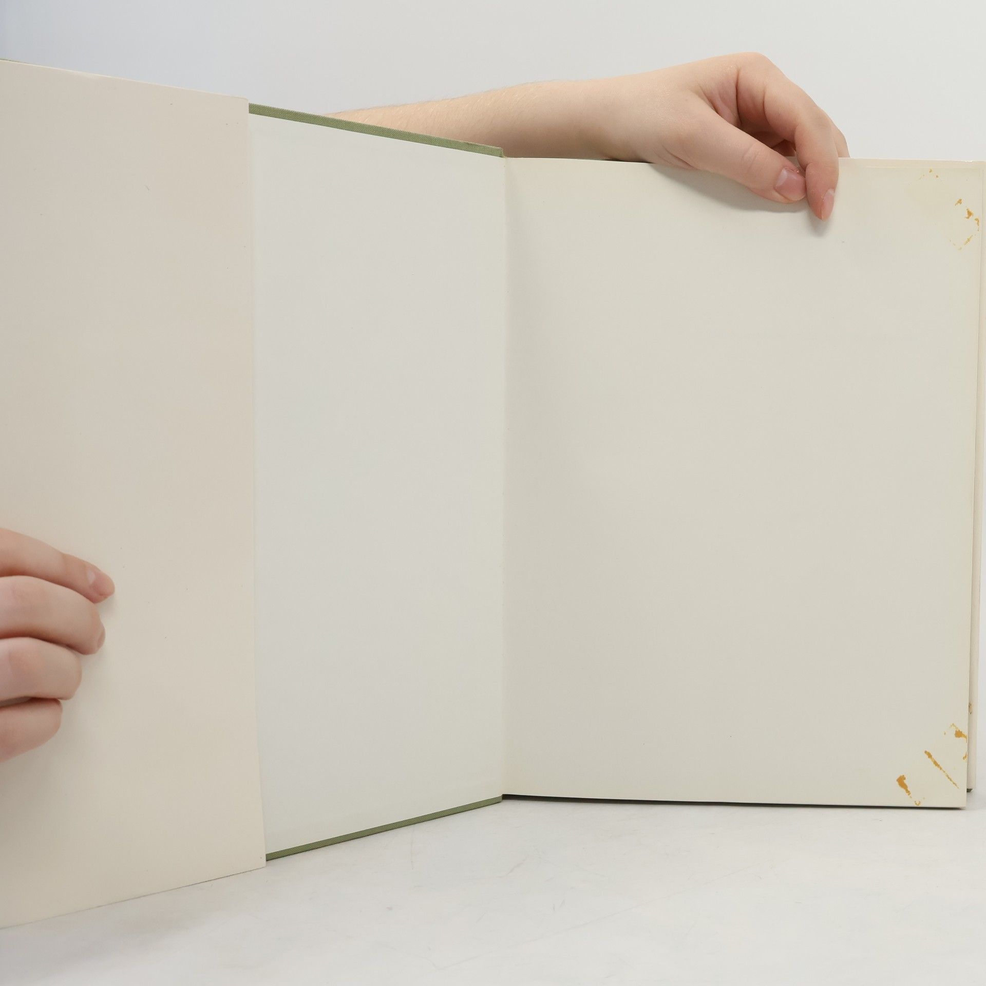 Autorenkollektiv Salzburg. Gestalt und Antlitz