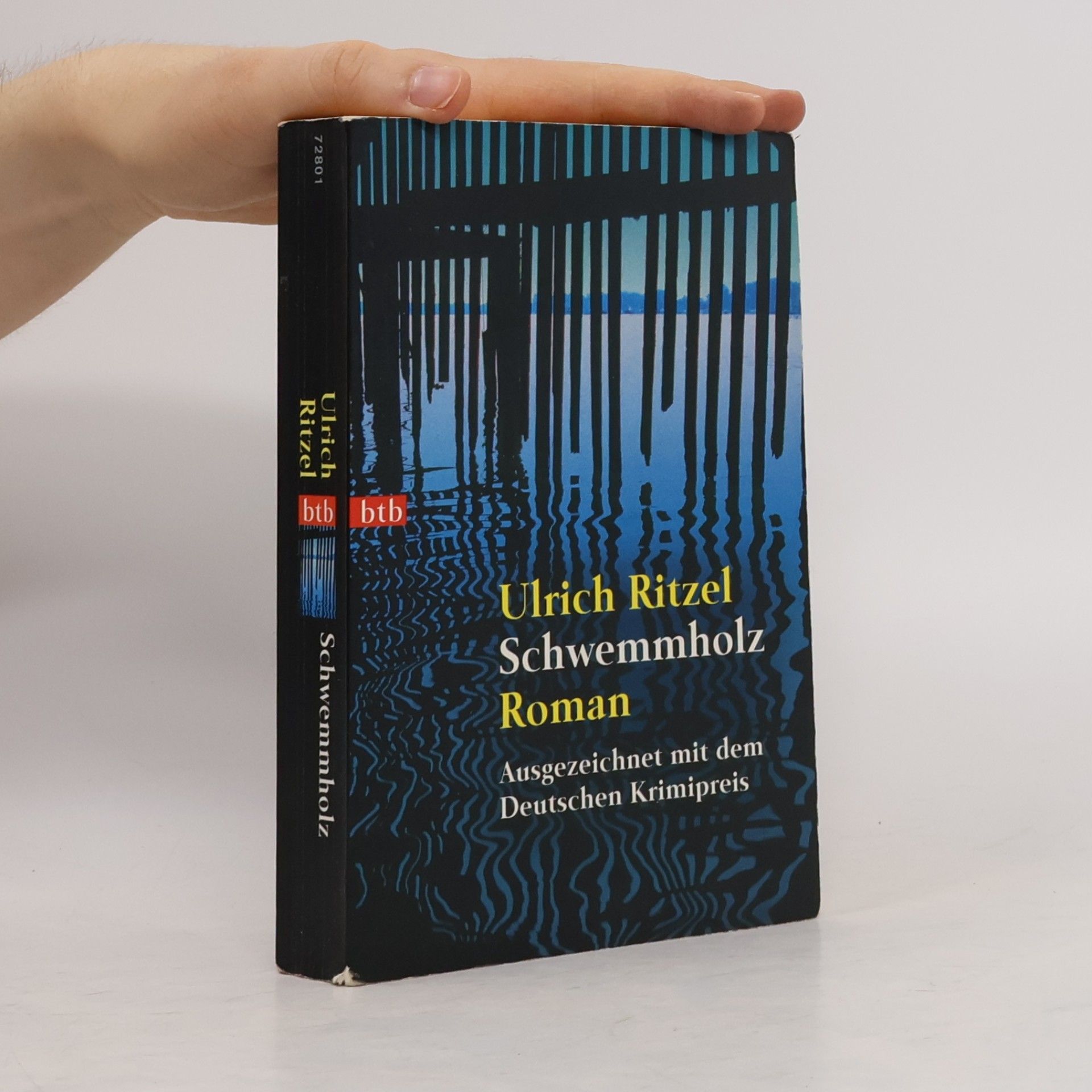 Ulrich Ritzel Schwemmholz