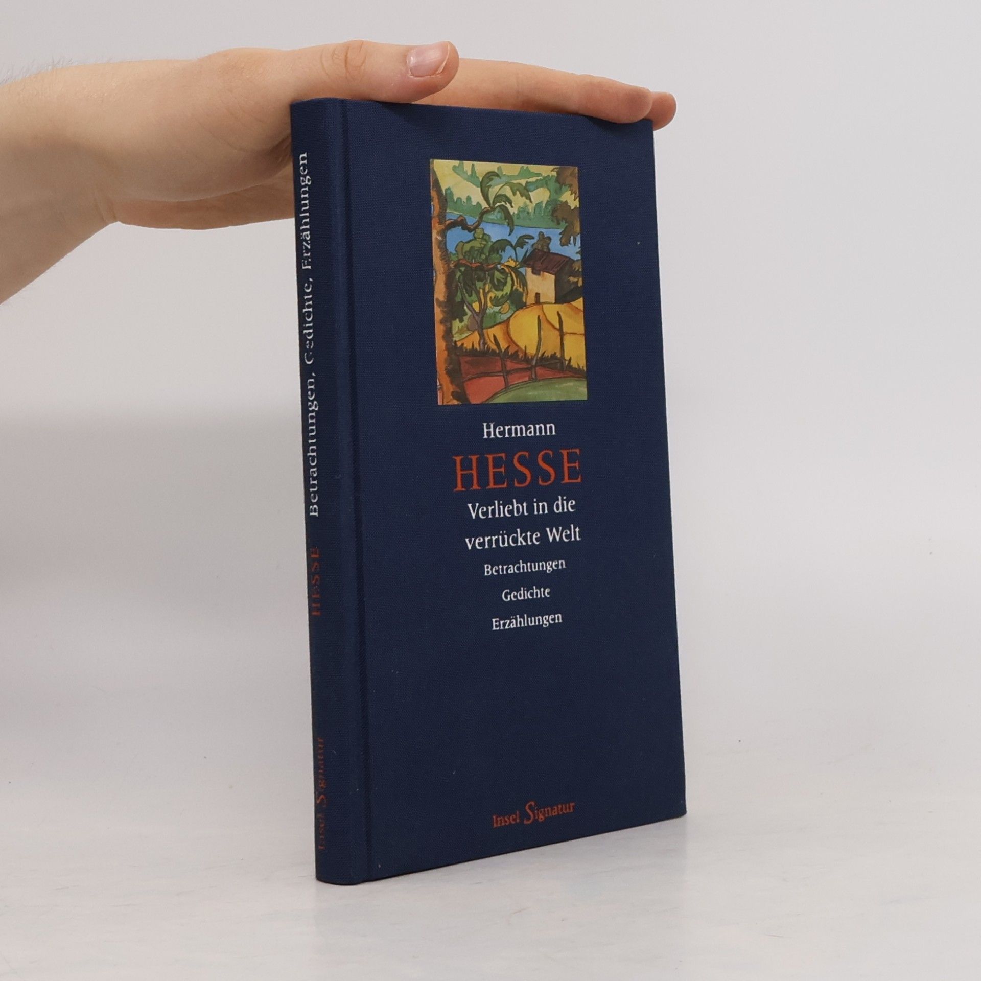 Hermann Hesse Verliebt in die verrückte Welt