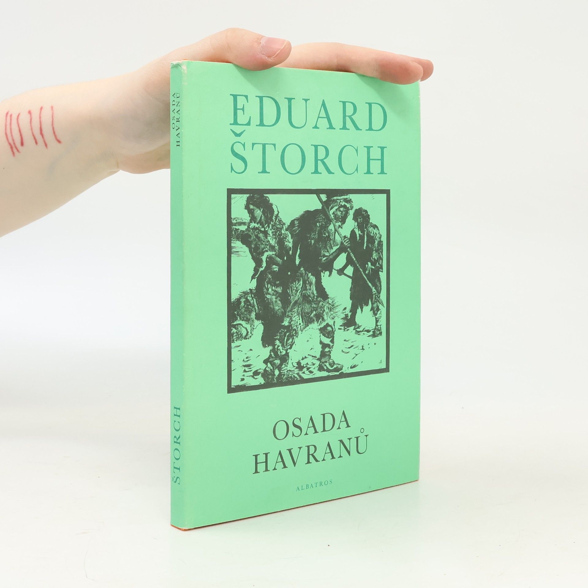 Osada havranů