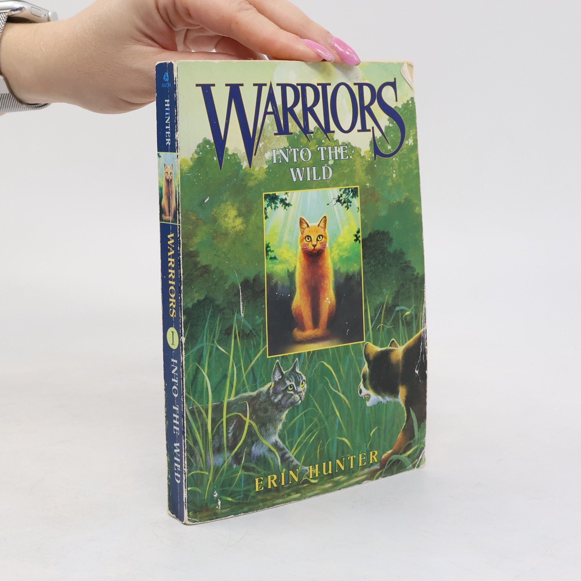 Erin Hunter Warriors 1 Into the Wild