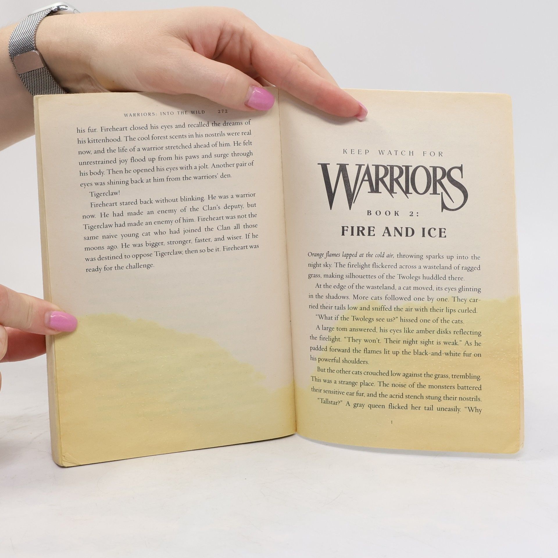 Erin Hunter Warriors 1 Into the Wild