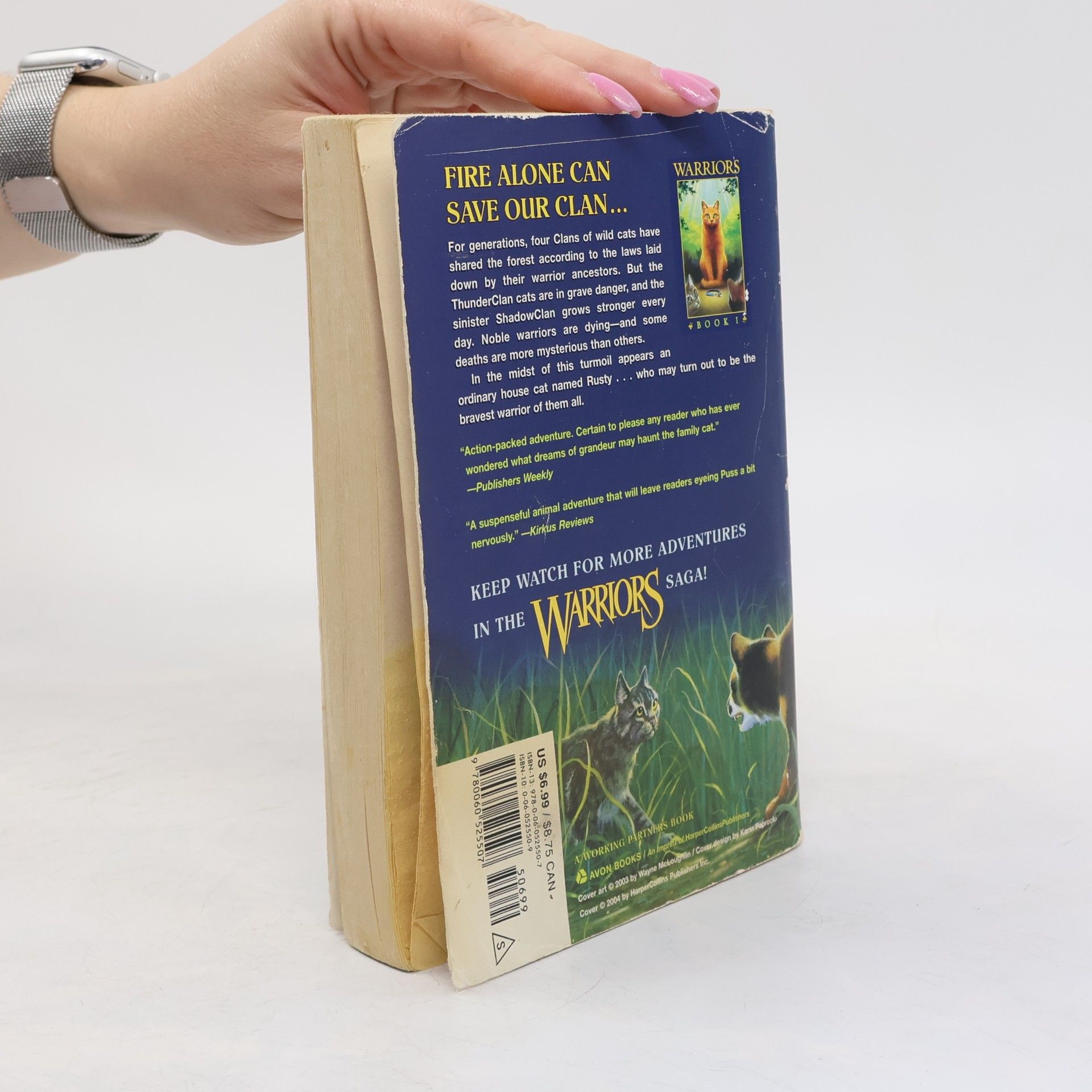 Erin Hunter Warriors 1 Into the Wild