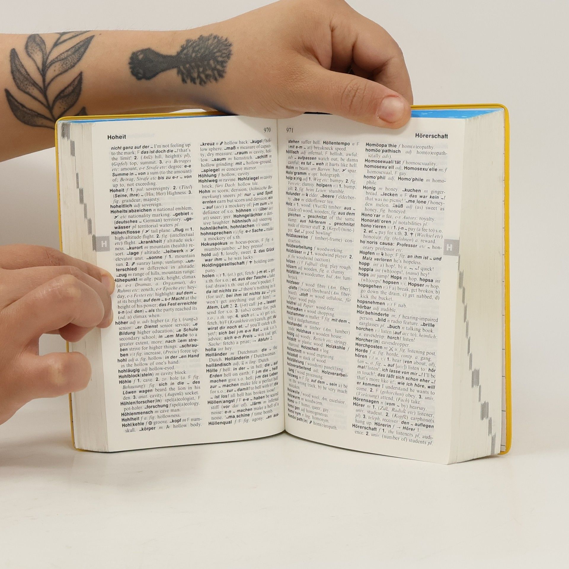 Heinz Messinger Langenscheidts Taschenwörterbuch Englisch