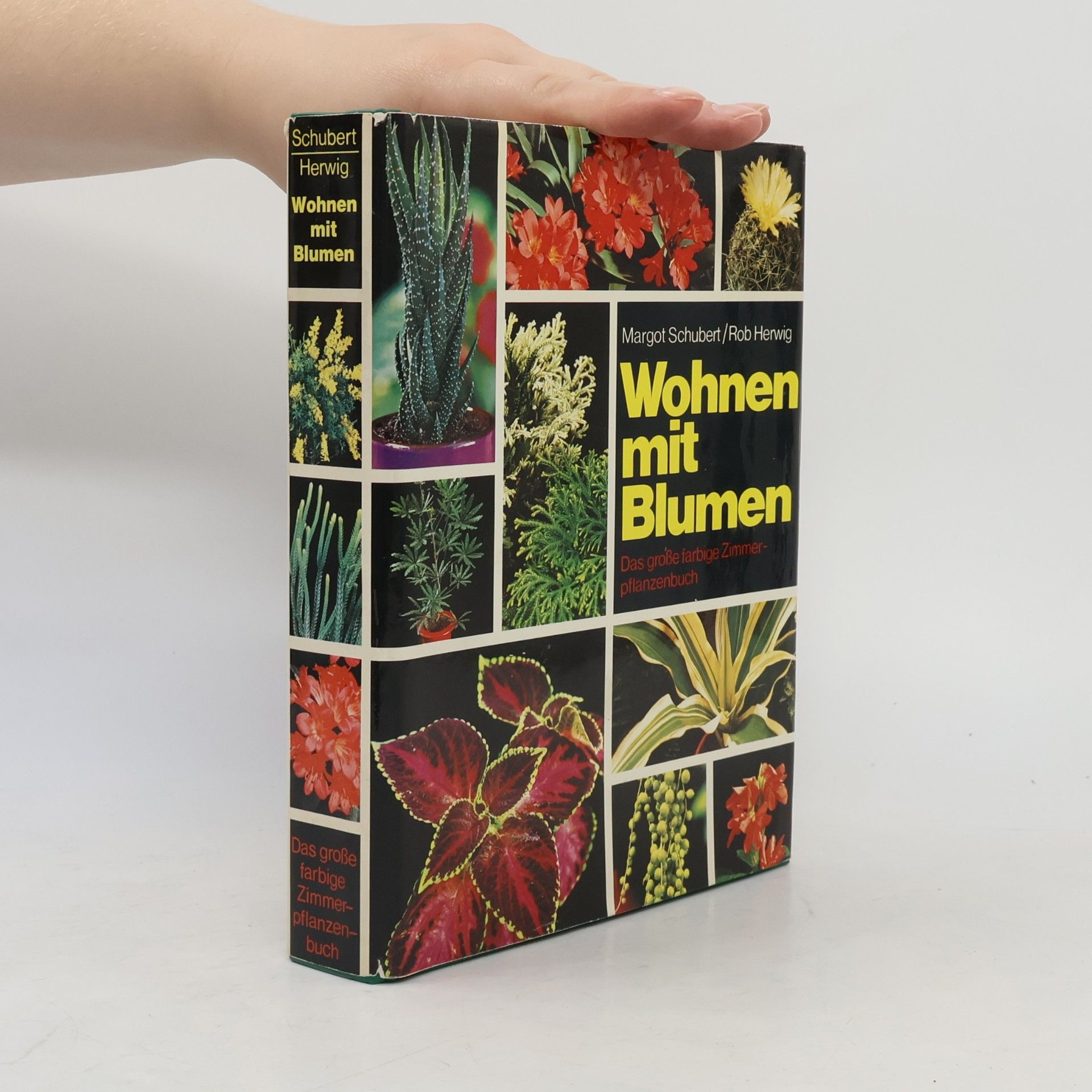 Margot Schubert Wohnen mit Blumen