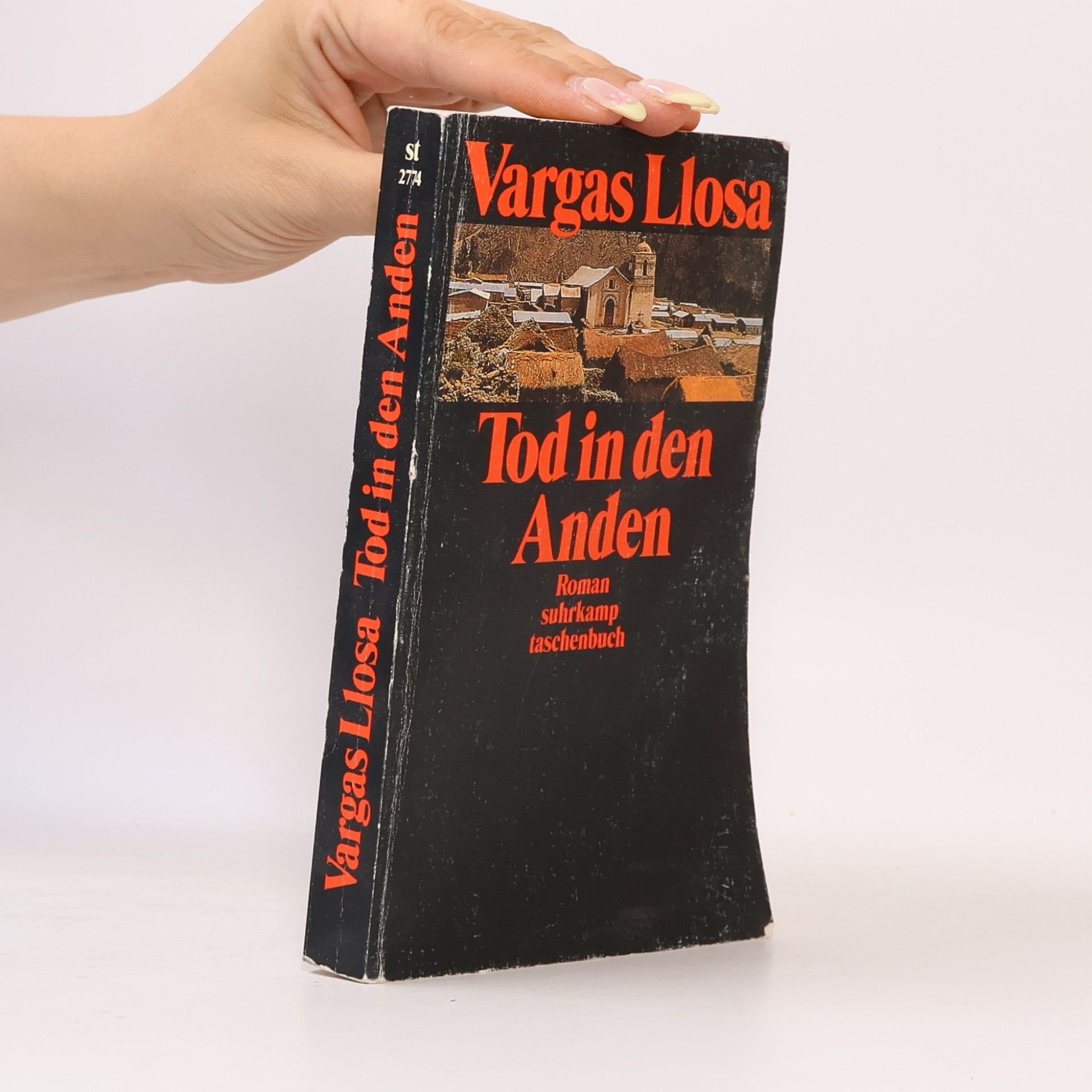 Mario Vargas Llosa Tod in den Anden