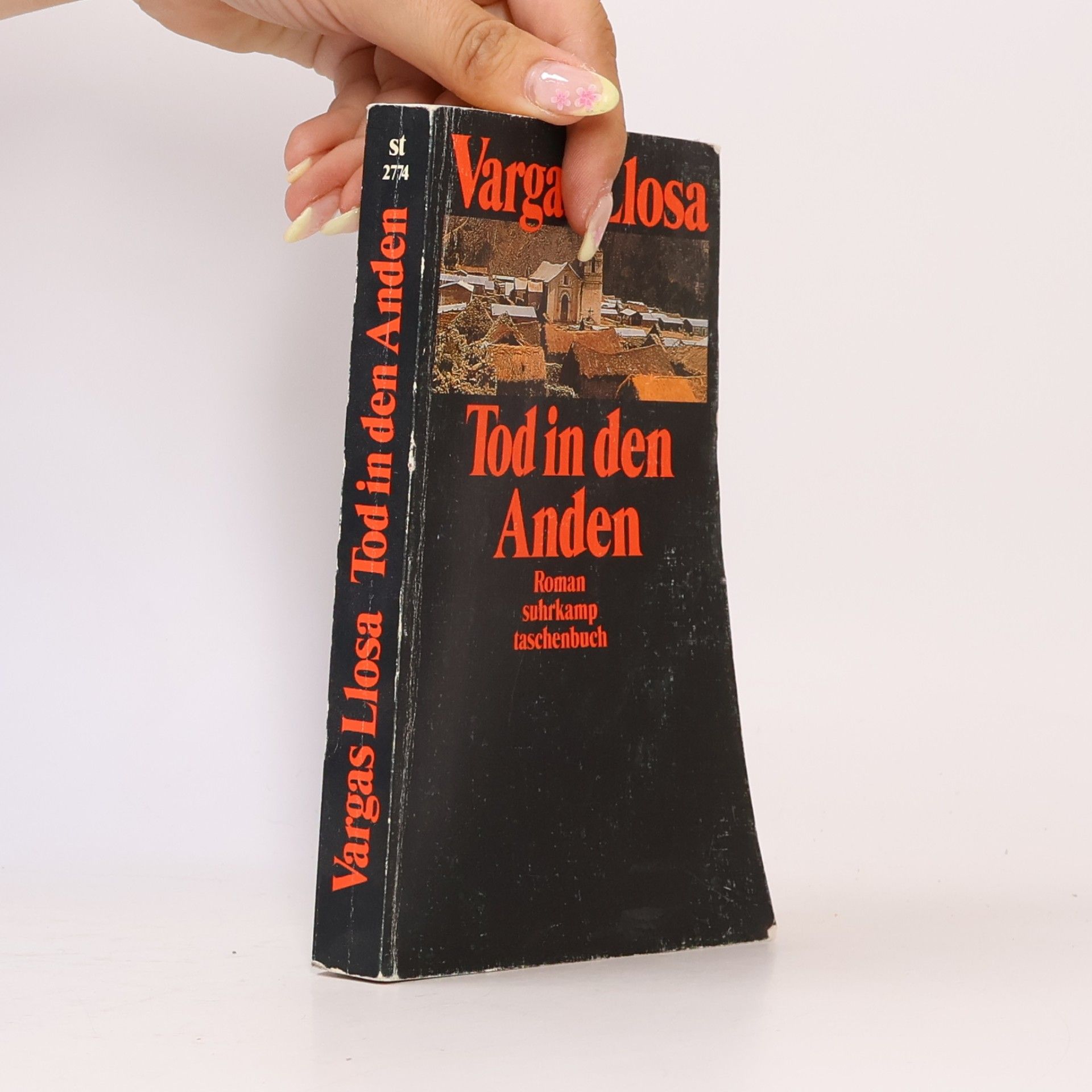 Mario Vargas Llosa Tod in den Anden