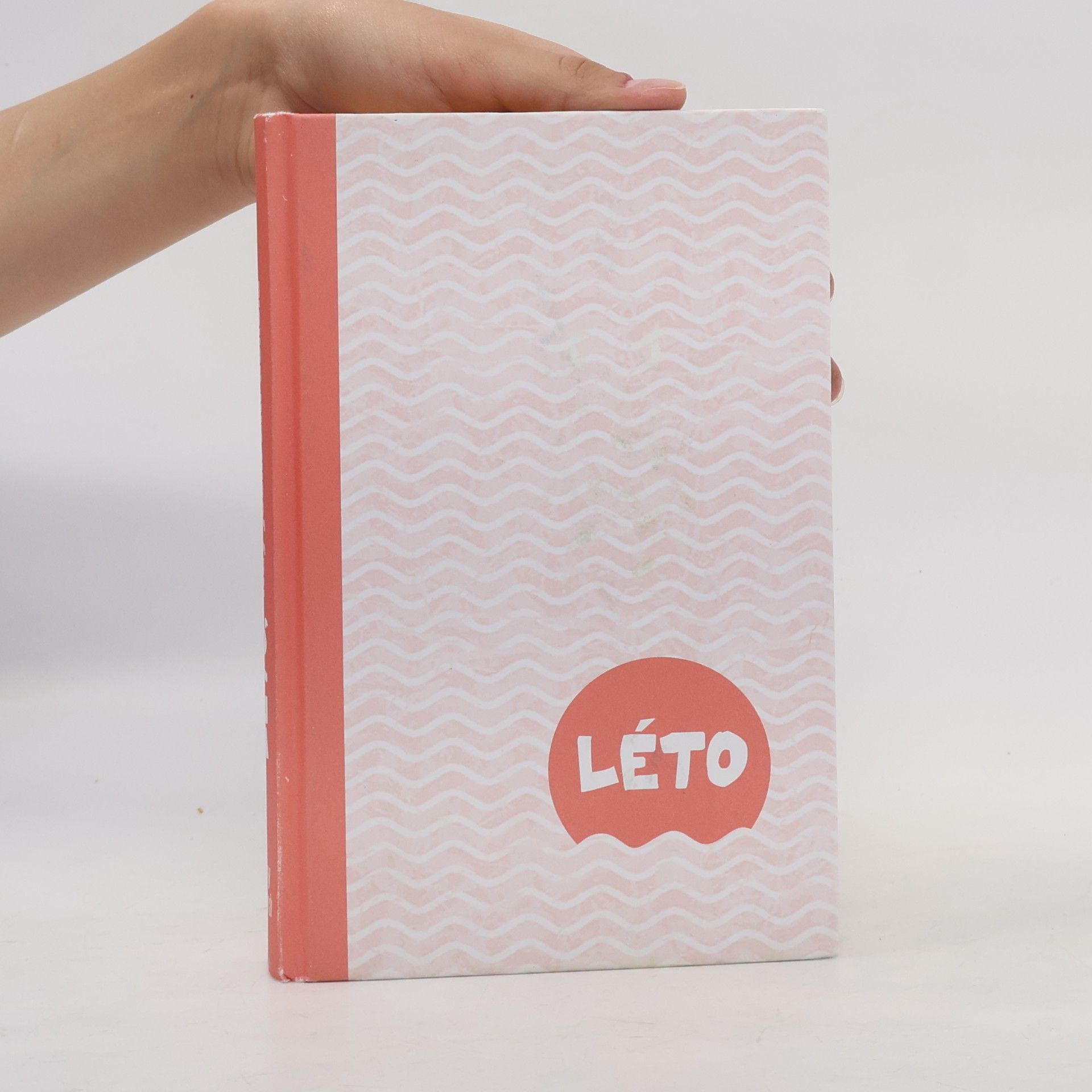 Jenny Han Léto, kdy jsem zkrásněla