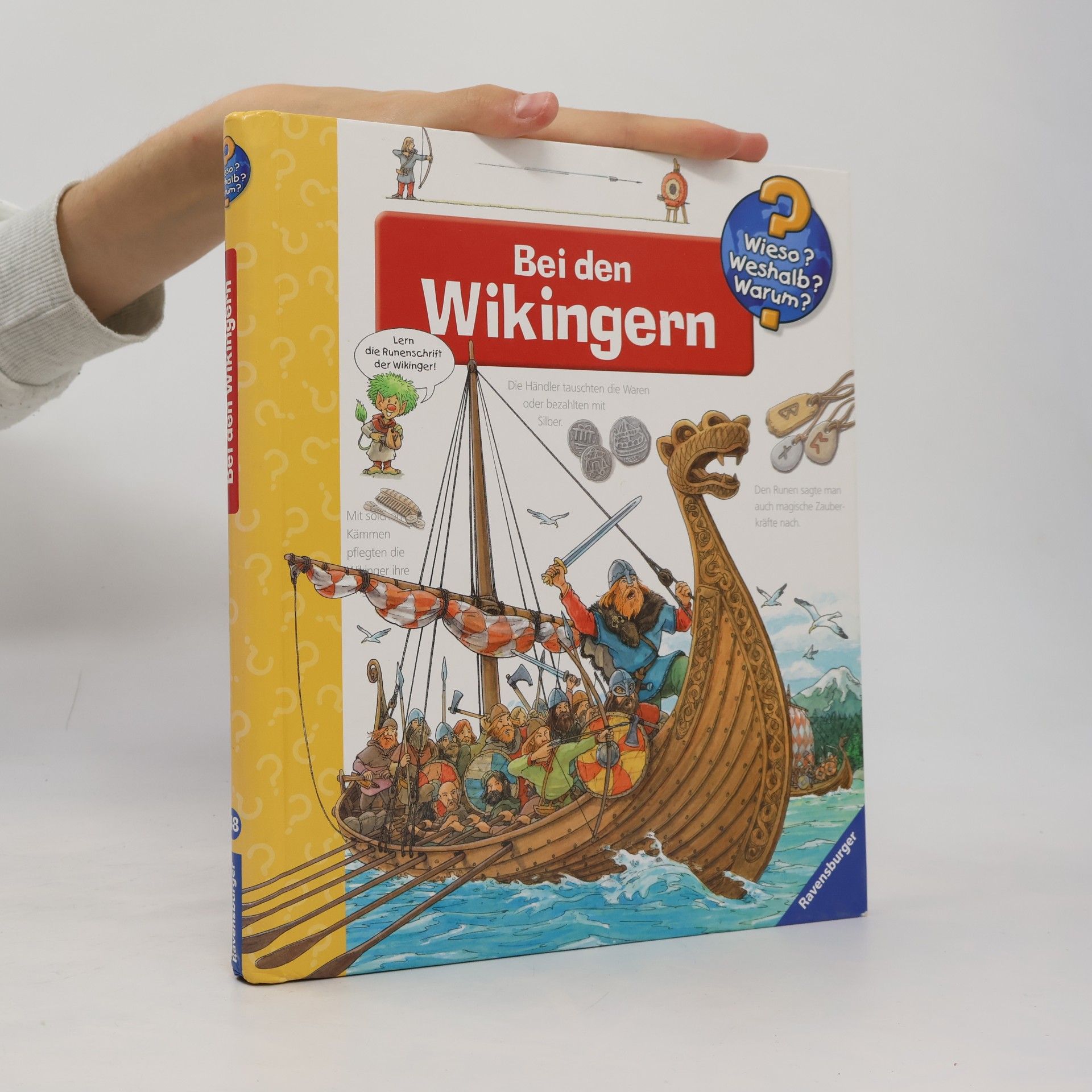 Peter Nieländer Bei den Wikingern