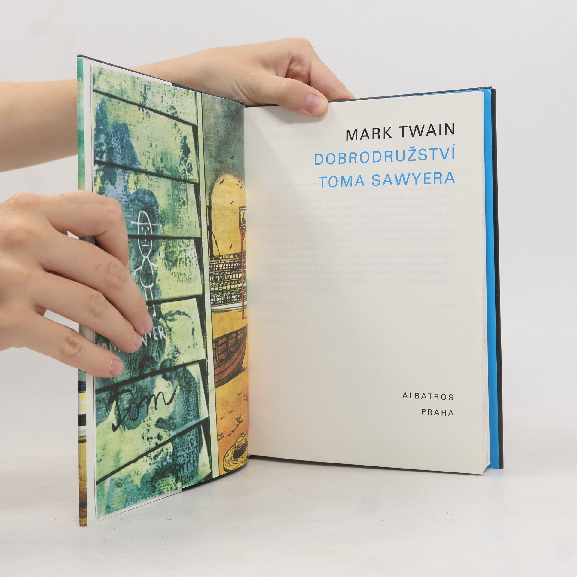 Mark Twain Dobrodružství Toma Sawyera