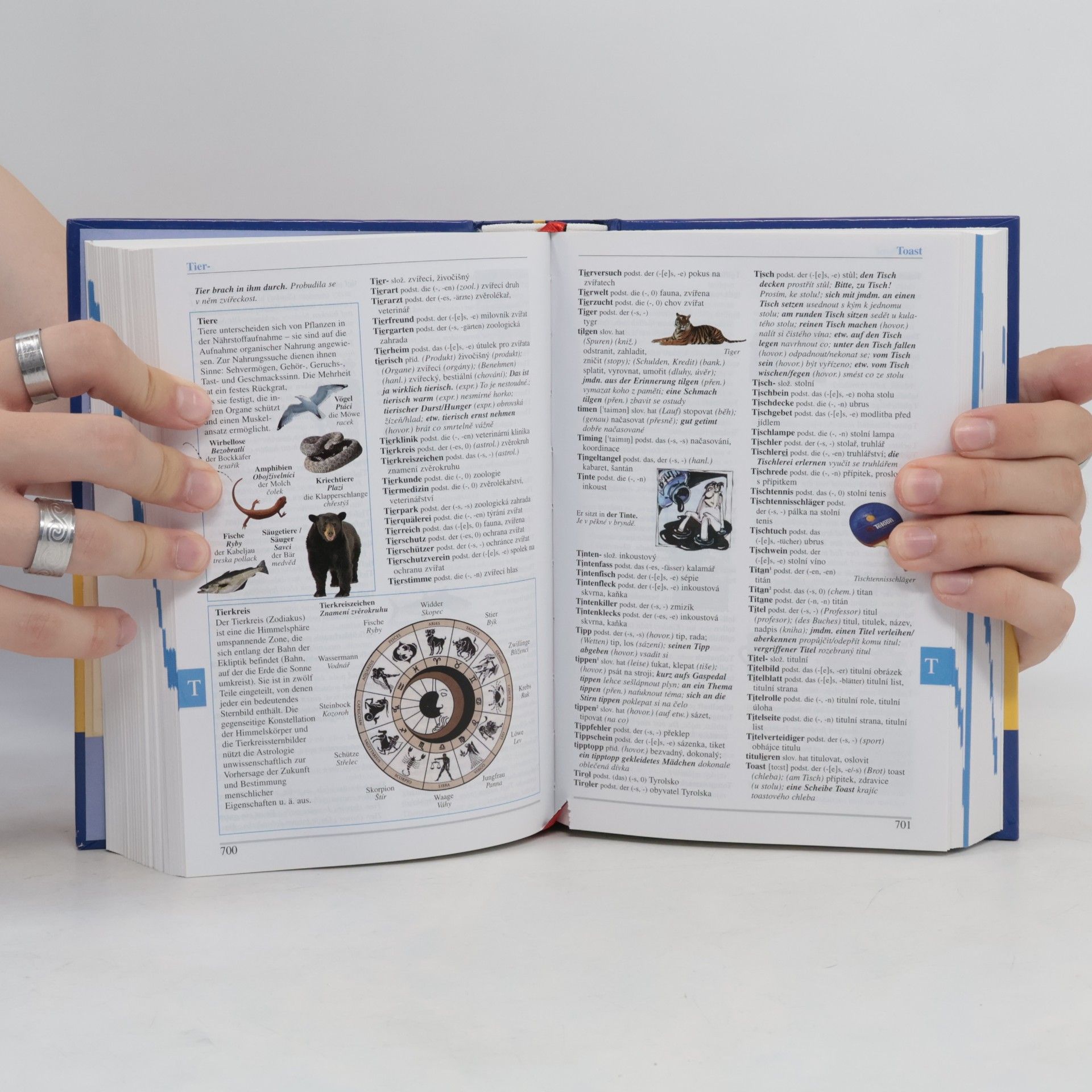 Autorenkollektiv Ilustrovaný studijní slovník. Německo-český, česko-německý