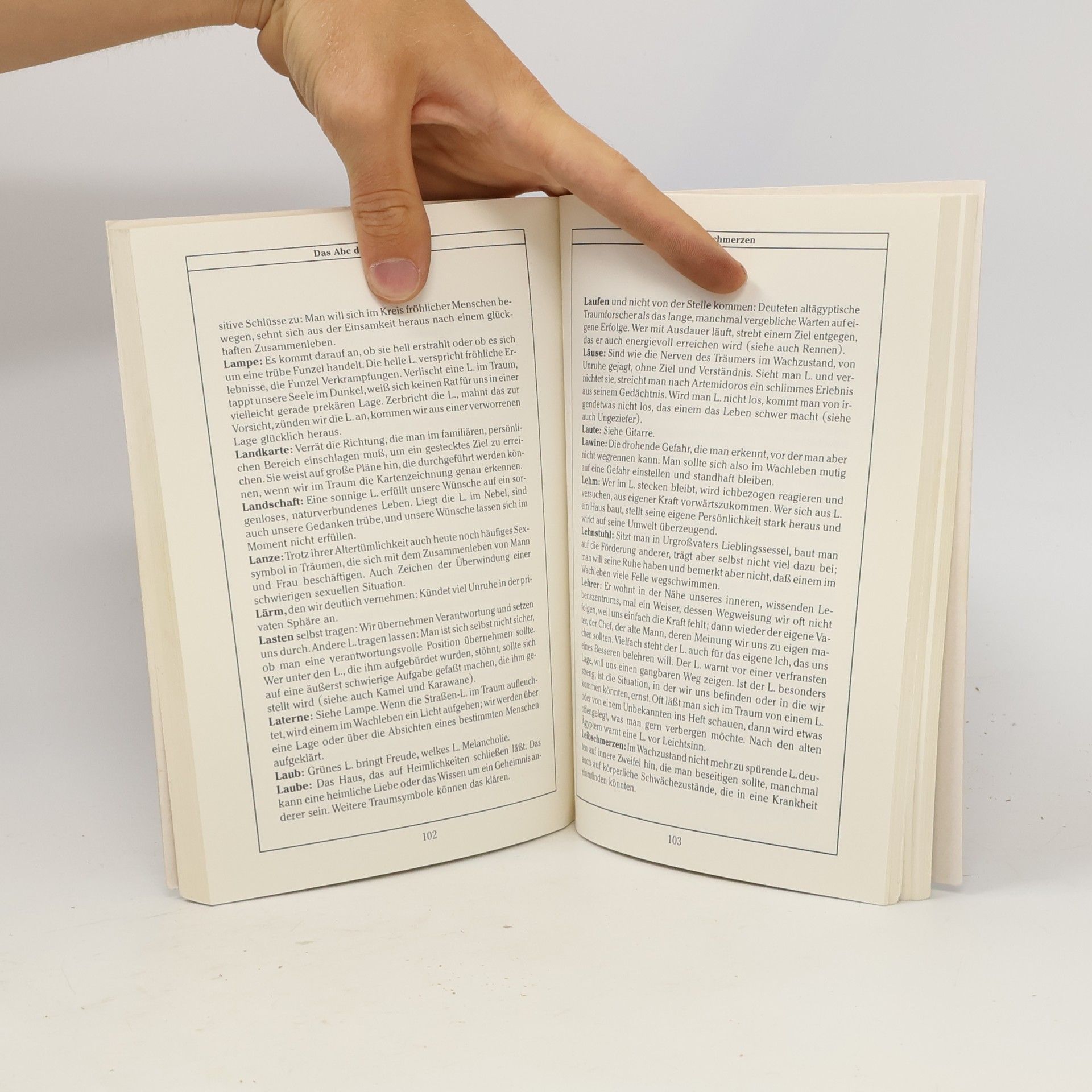 Georg Haddenbach Traumdeutung