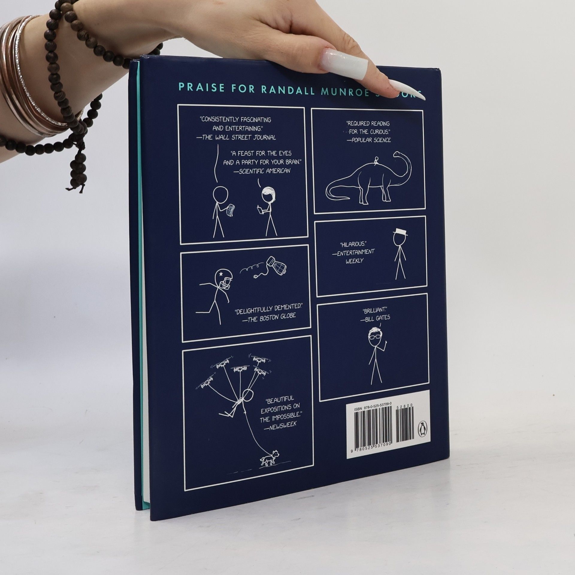 Randall Munroe How To