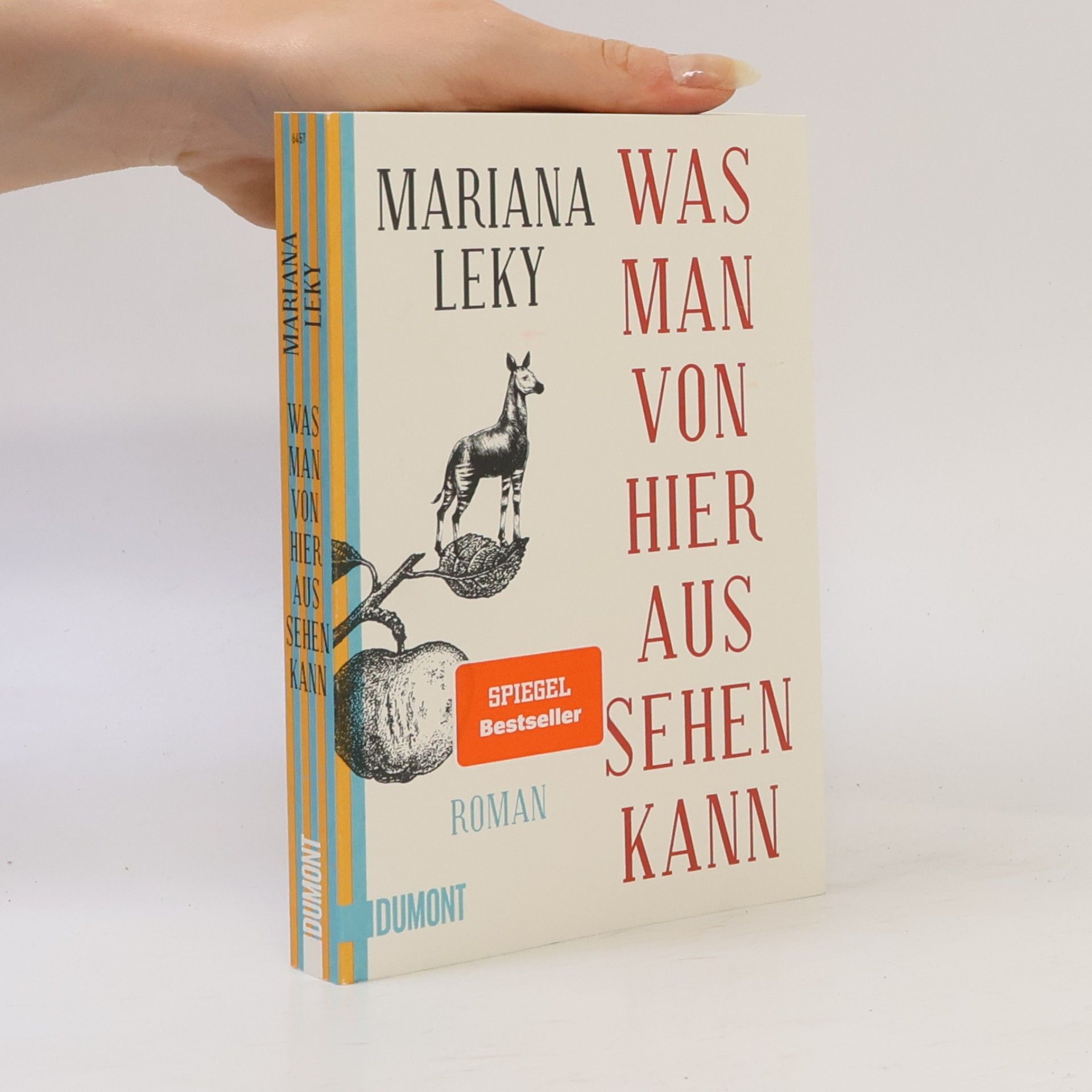 Mariana Leky Was man von hier aus sehen kann