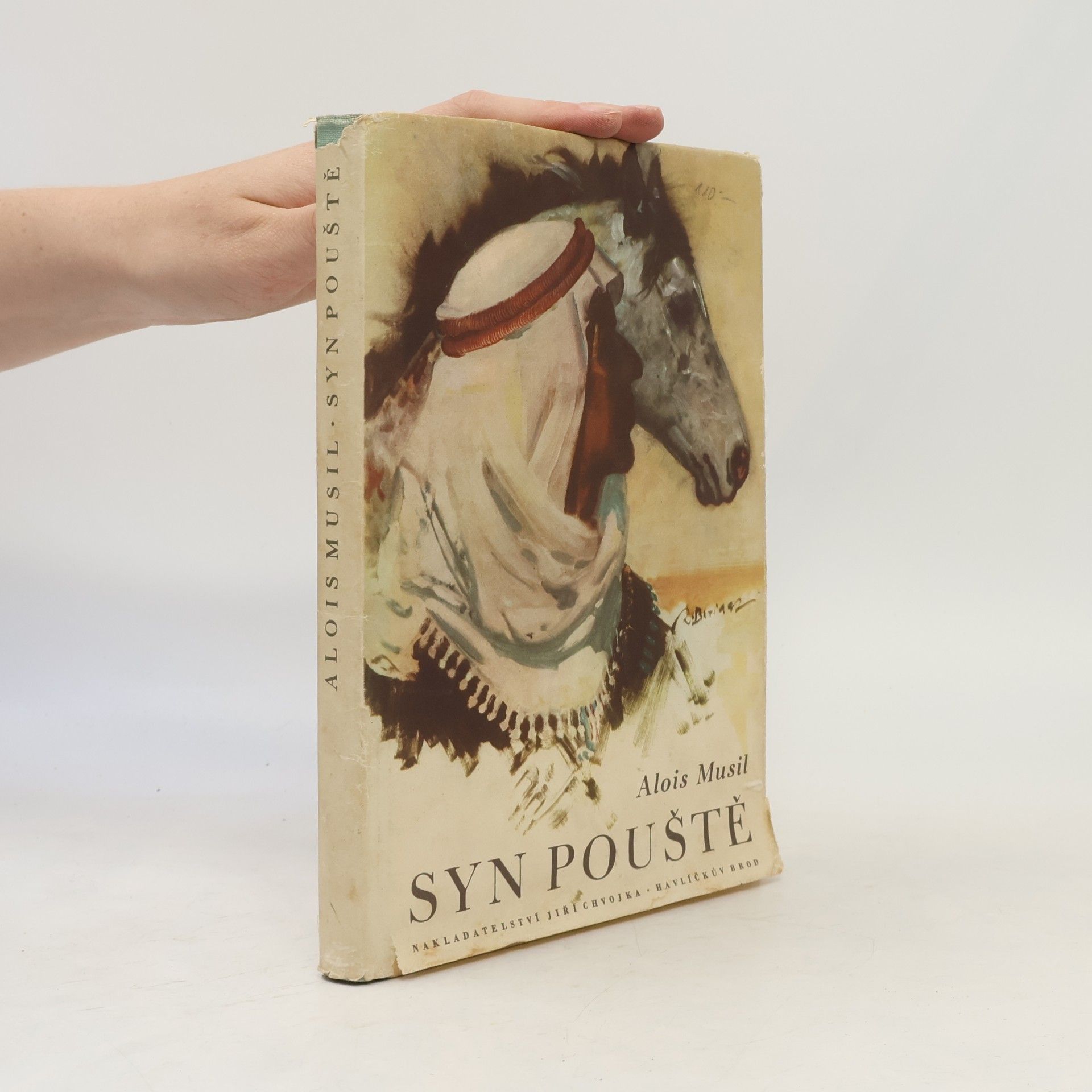 Syn pouště