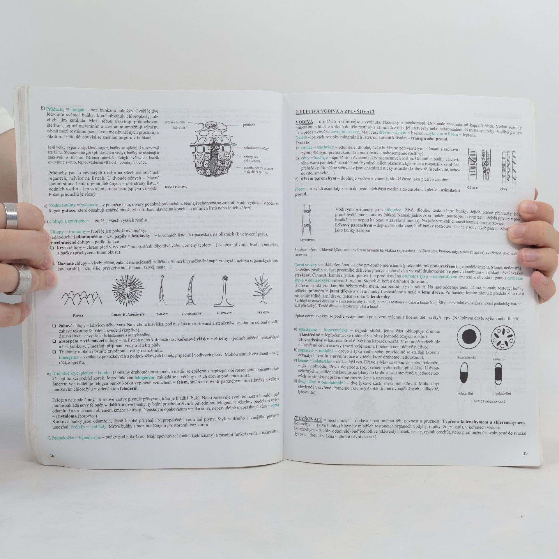 Hana Hančová Biologie I. v kostce : [obecná biologie, mikrobiologie, botanika, mykologie, ekologie, genetika] : pro střední školy